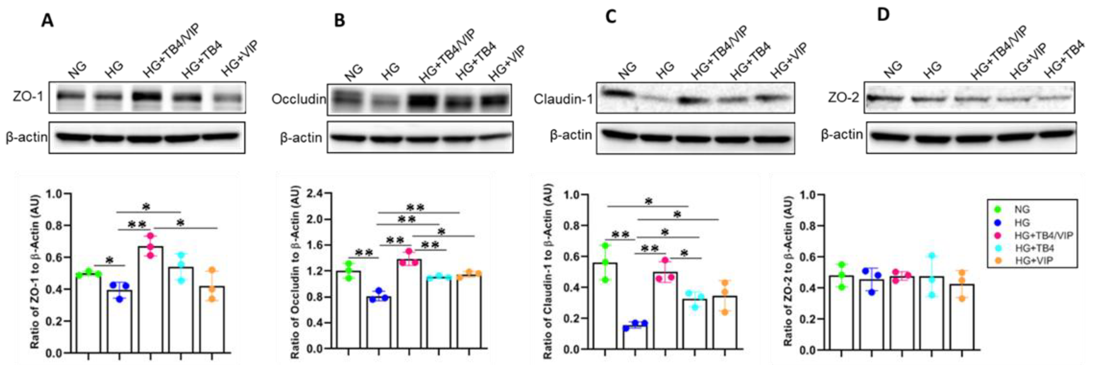 Biosensors 13 00974 g006