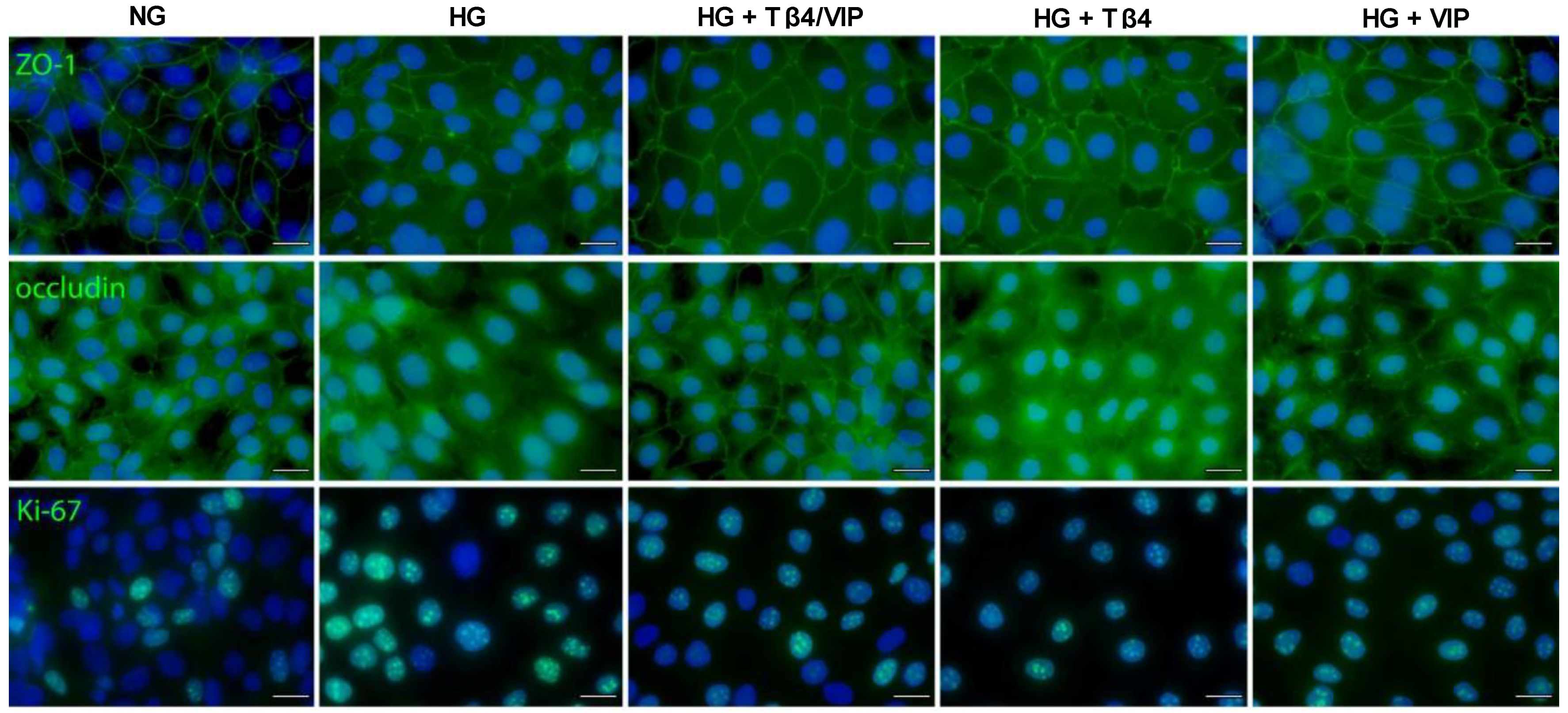Biosensors 13 00974 g007
