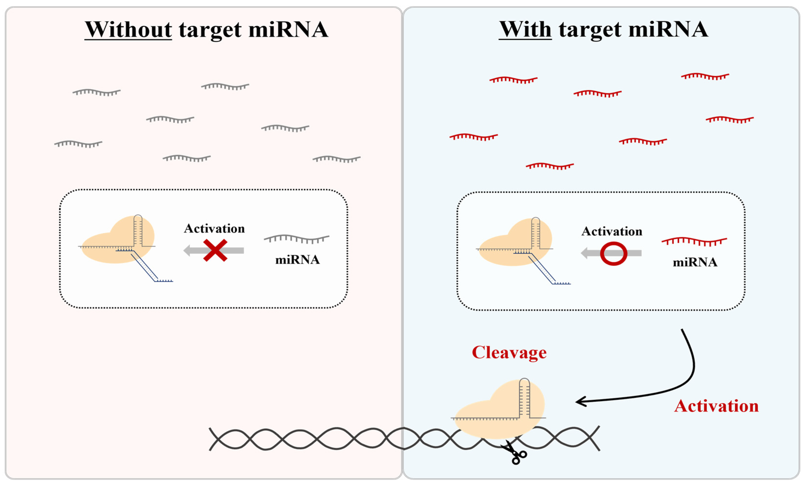 Biosensors 13 00975 g001