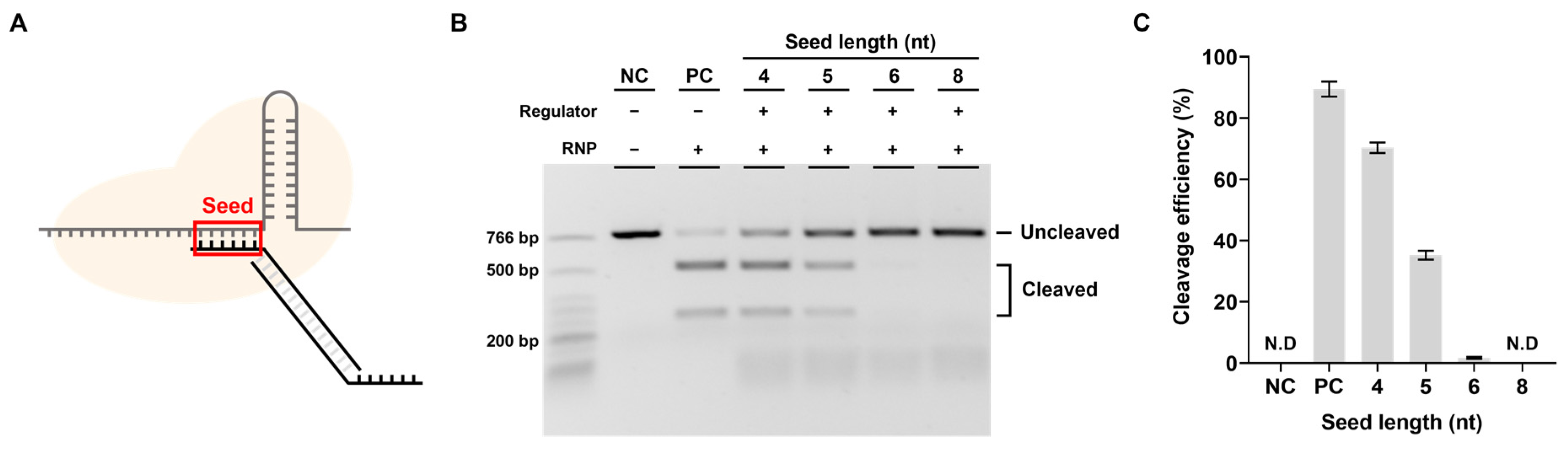 Biosensors 13 00975 g003