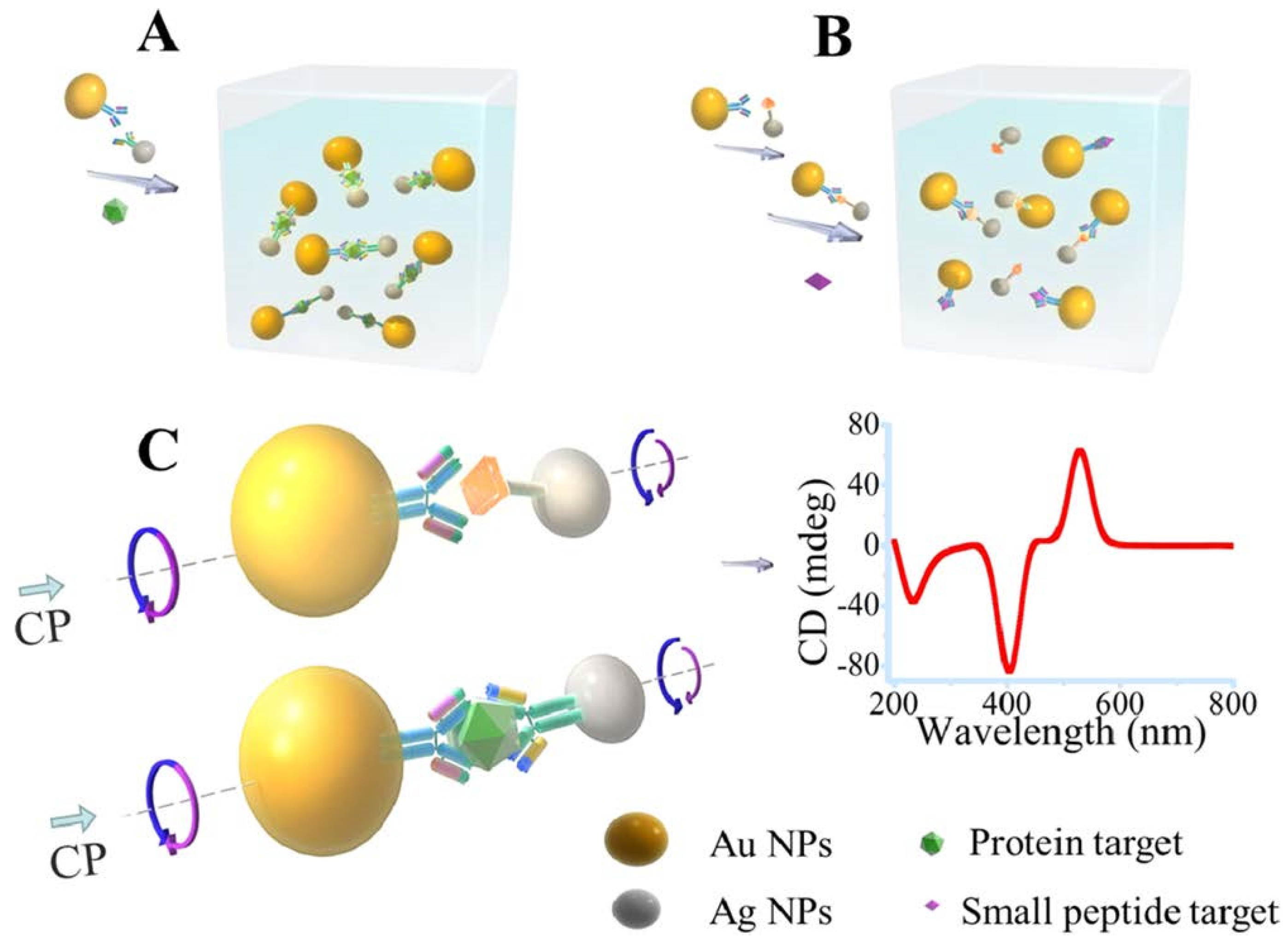 Biosensors 13 00977 g002