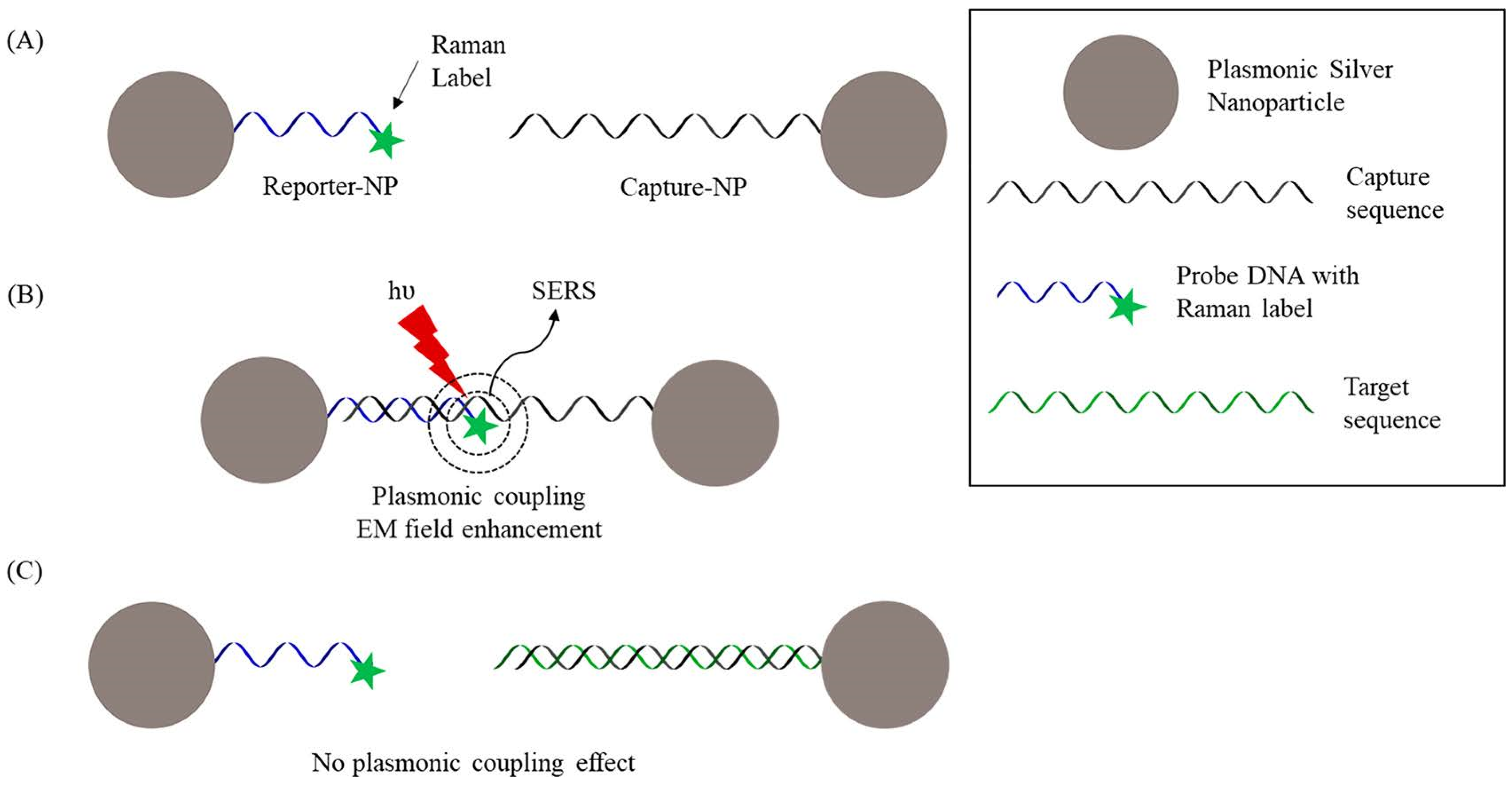 Biosensors 13 00977 g004