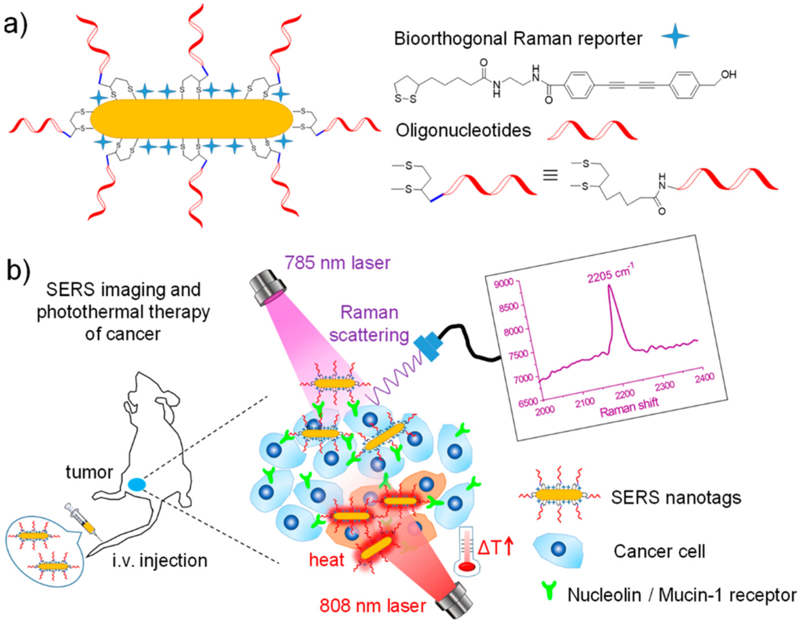 Biosensors 13 00977 g007