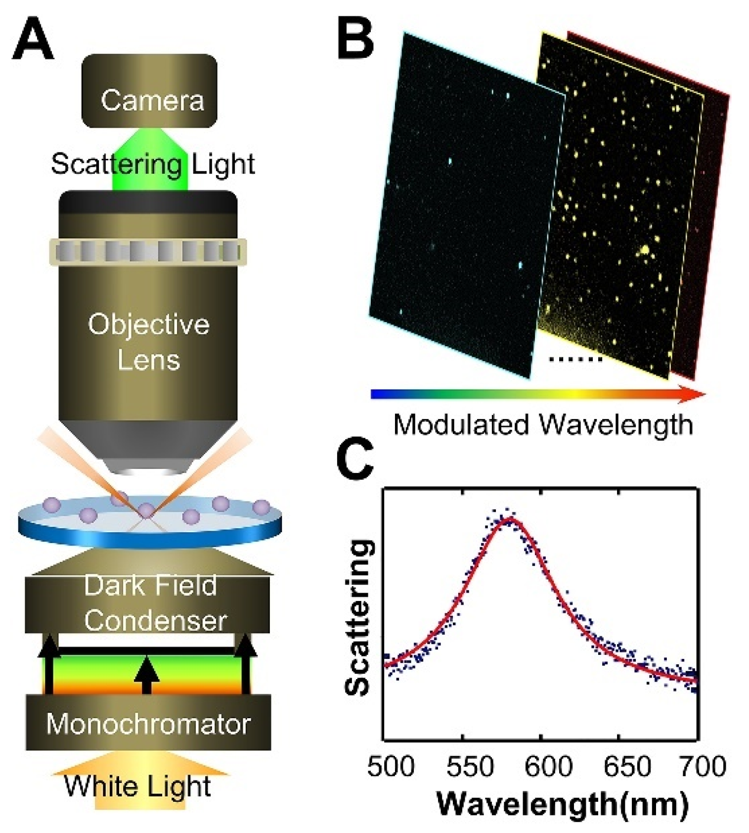 Biosensors 13 00977 g009