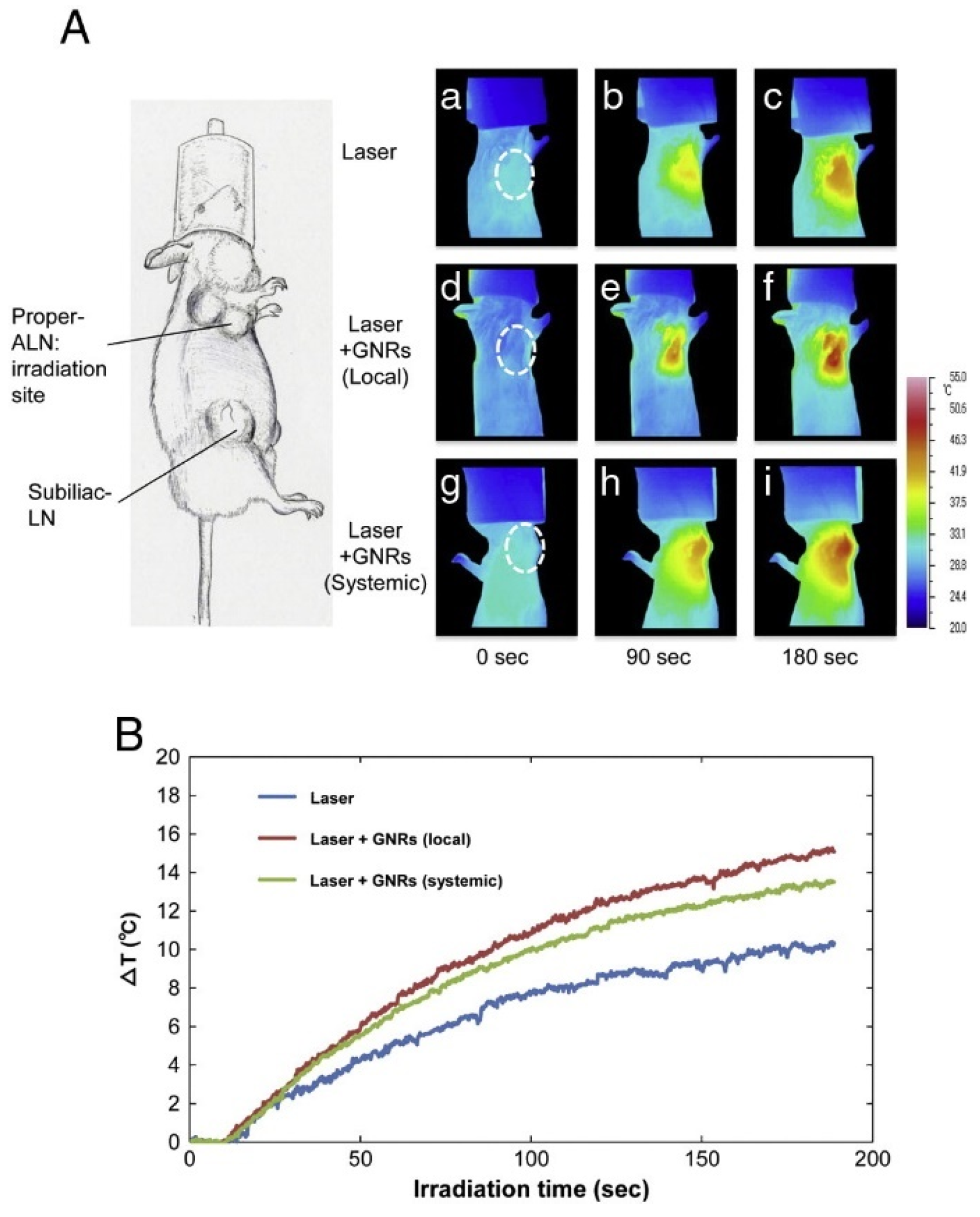 Biosensors 13 00977 g014