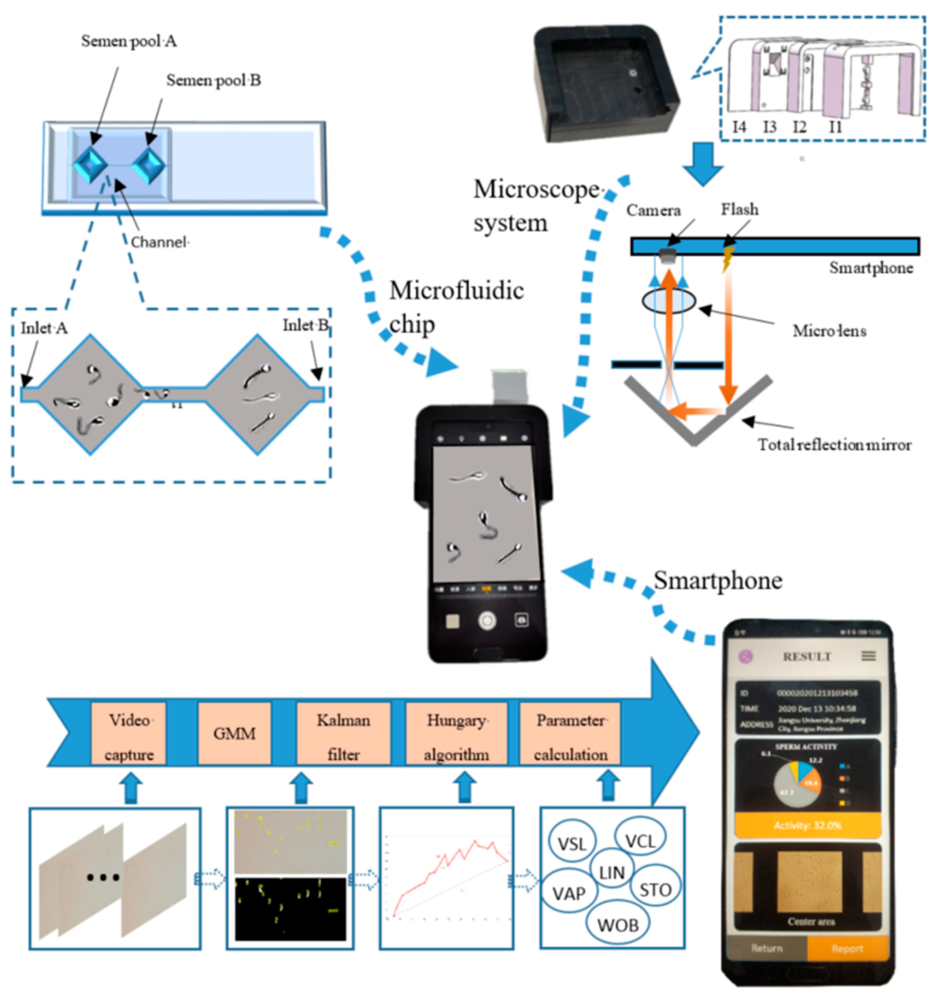 Biosensors 13 00978 g001