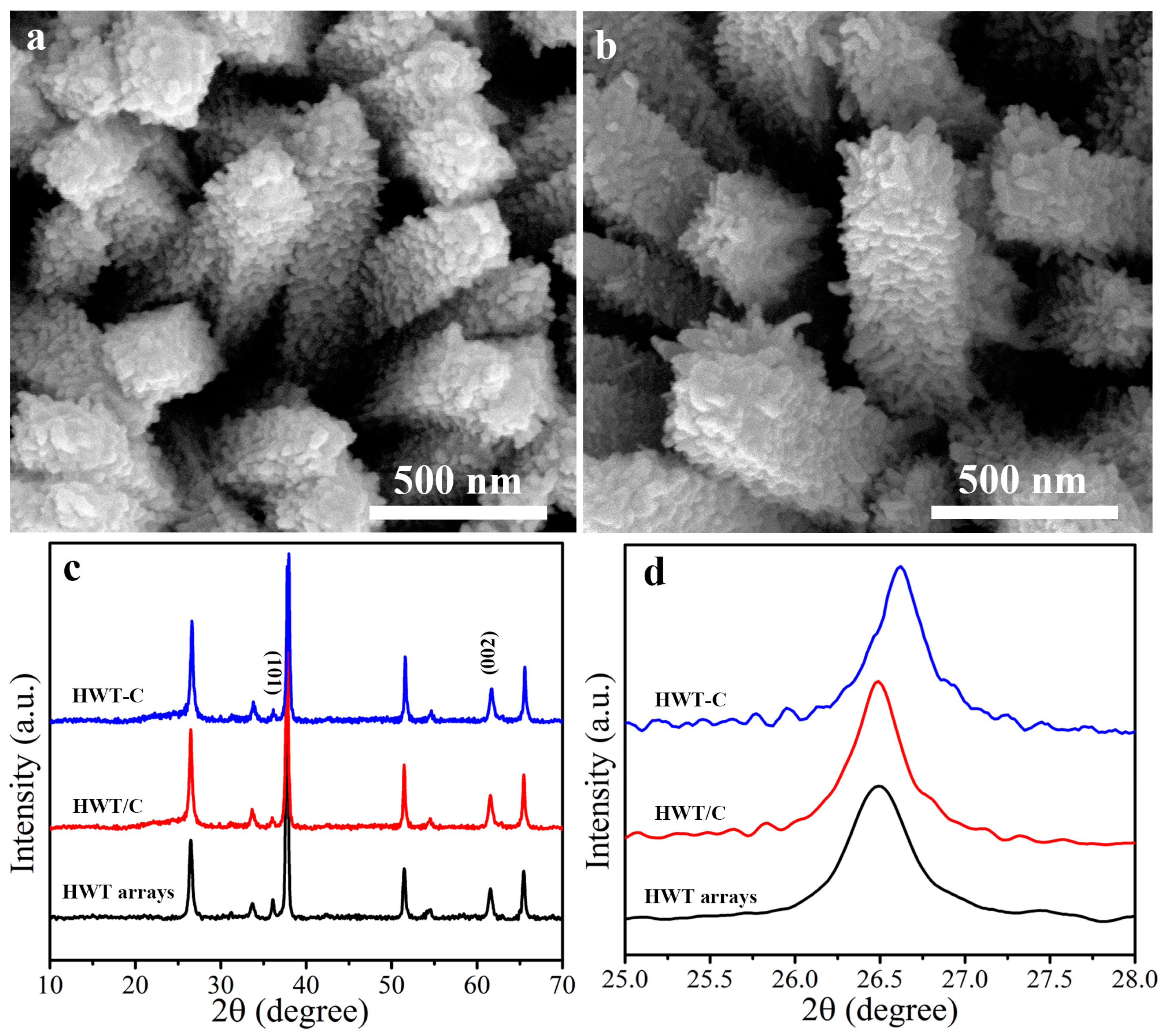 Biosensors 13 00984 g001