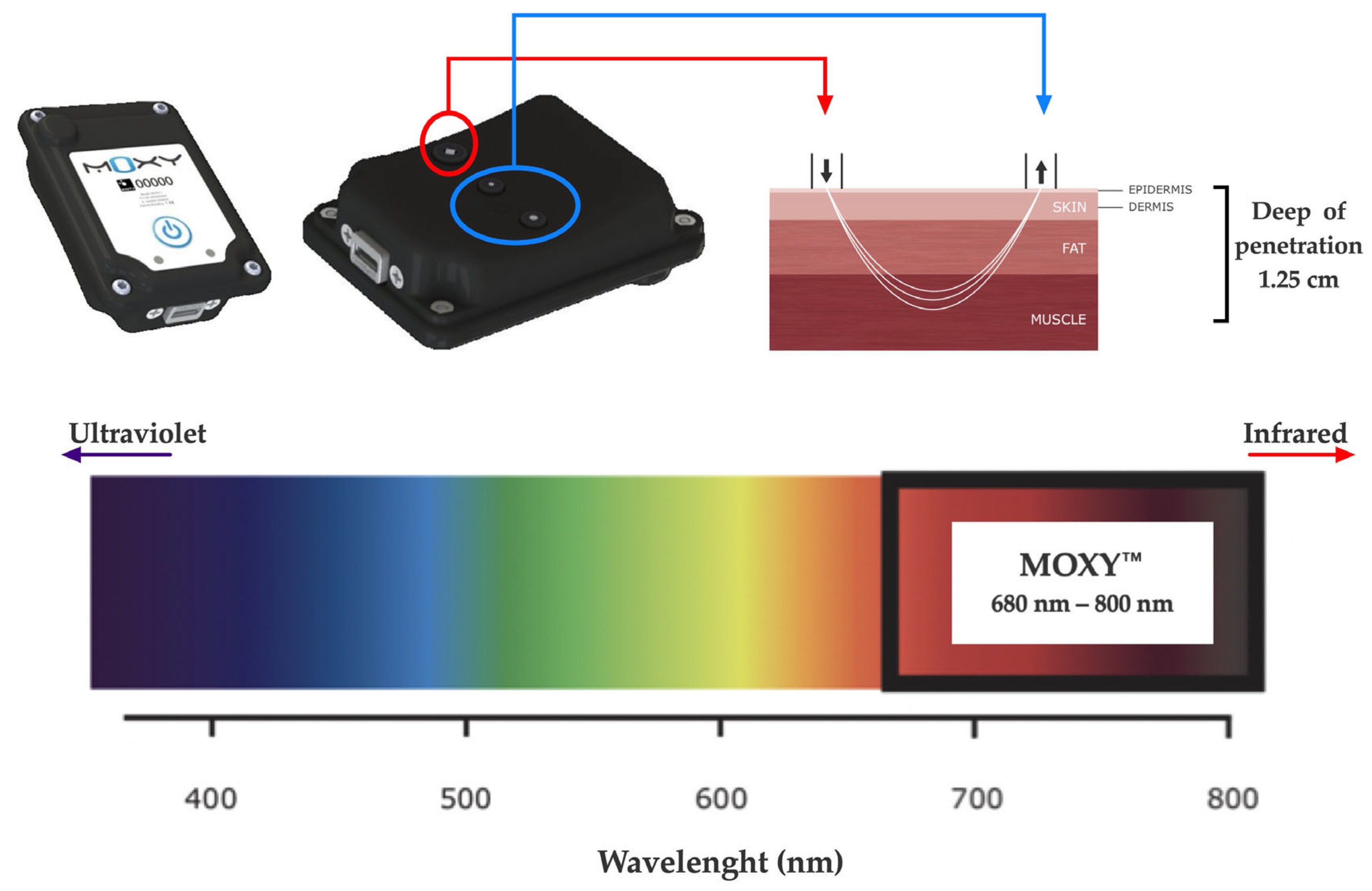 Biosensors 13 00985 g002 Biosensors 13 00985 g002