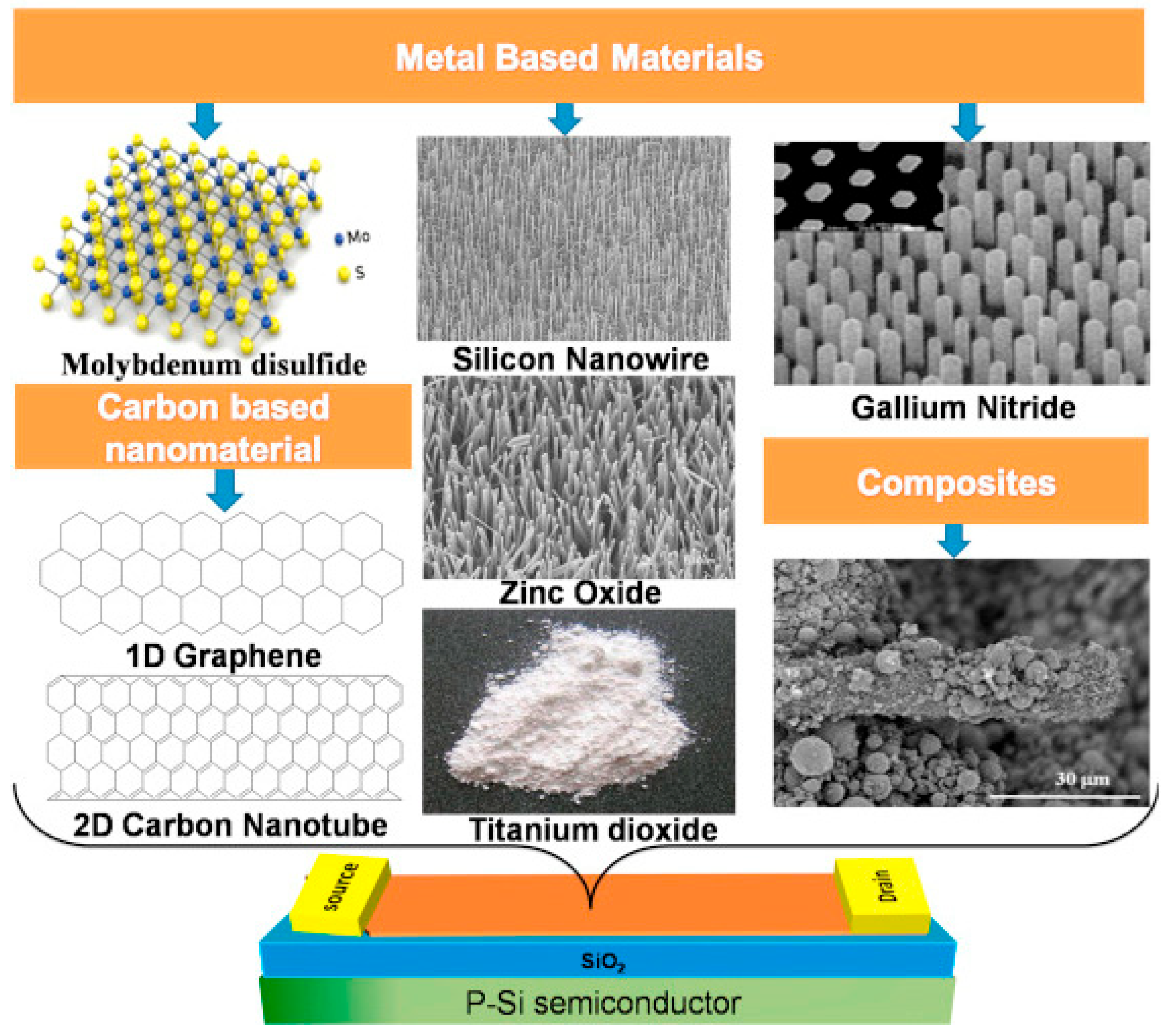 Biosensors 13 00987 g002