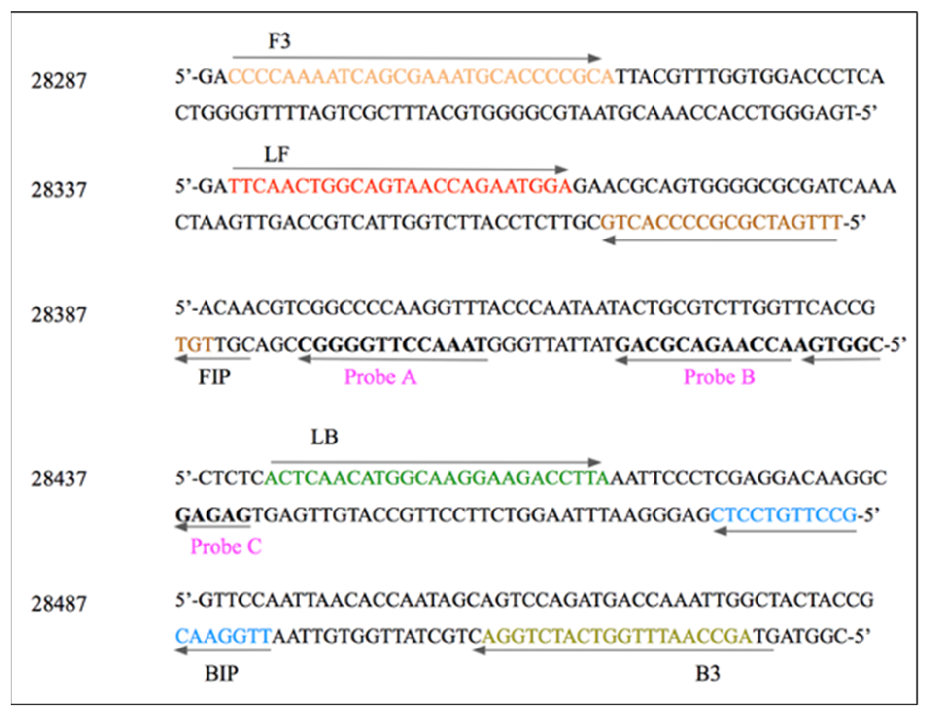 Biosensors 13 00988 g002