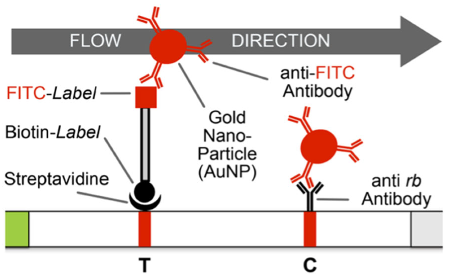 Biosensors 13 00988 g003