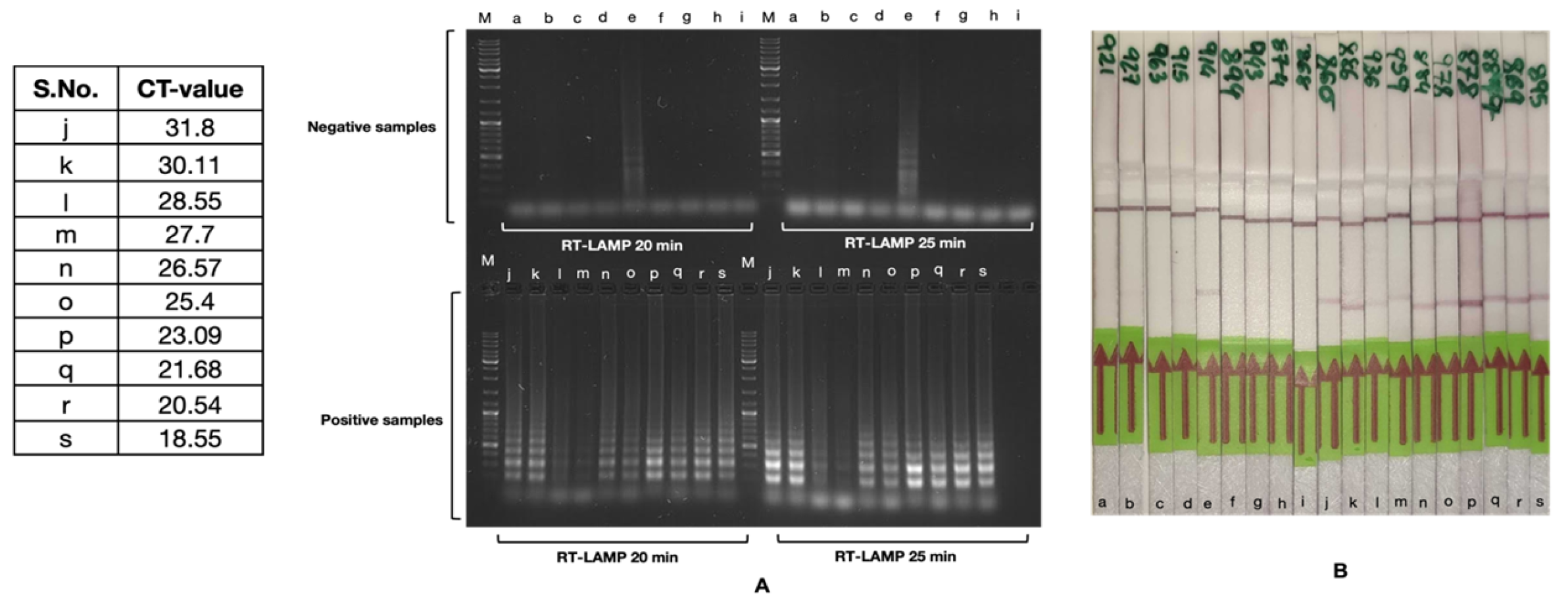 Biosensors 13 00988 g004