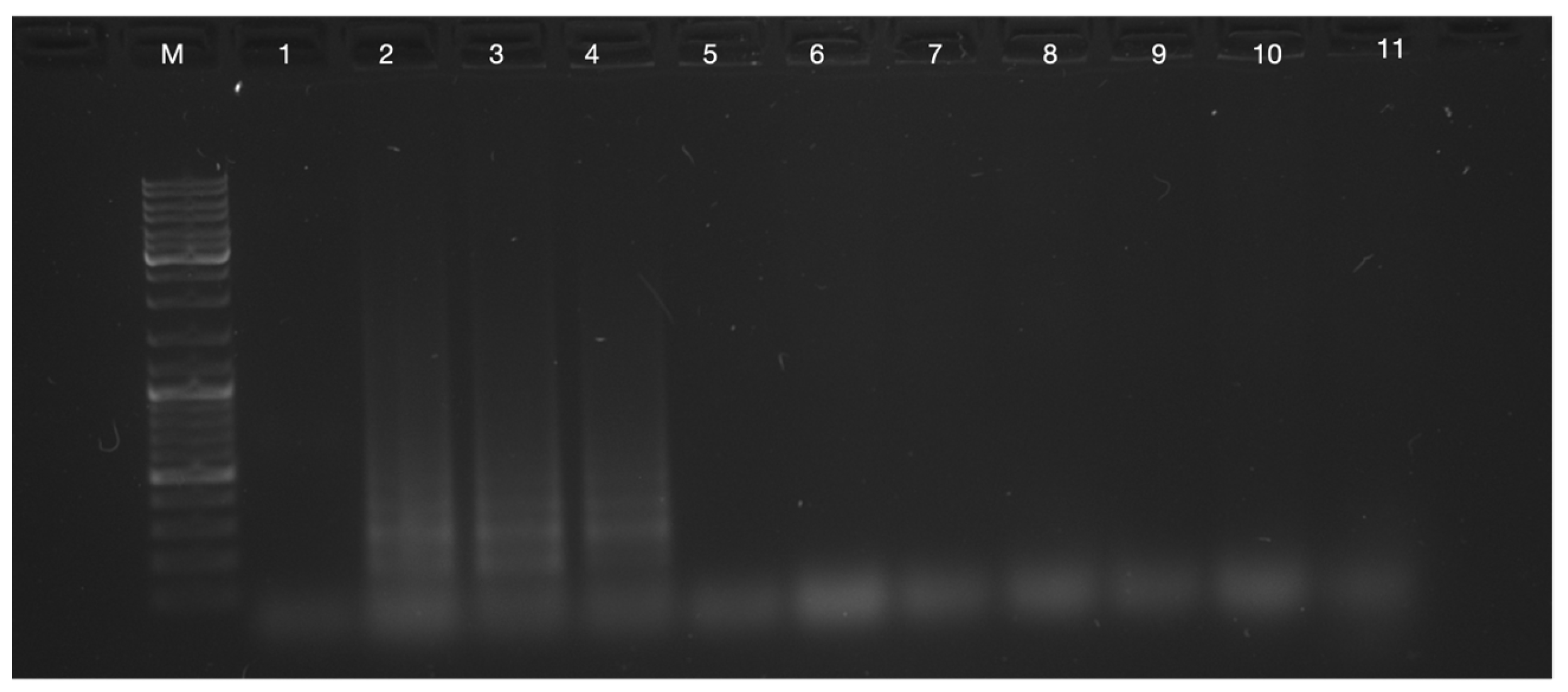Biosensors 13 00988 g0a1