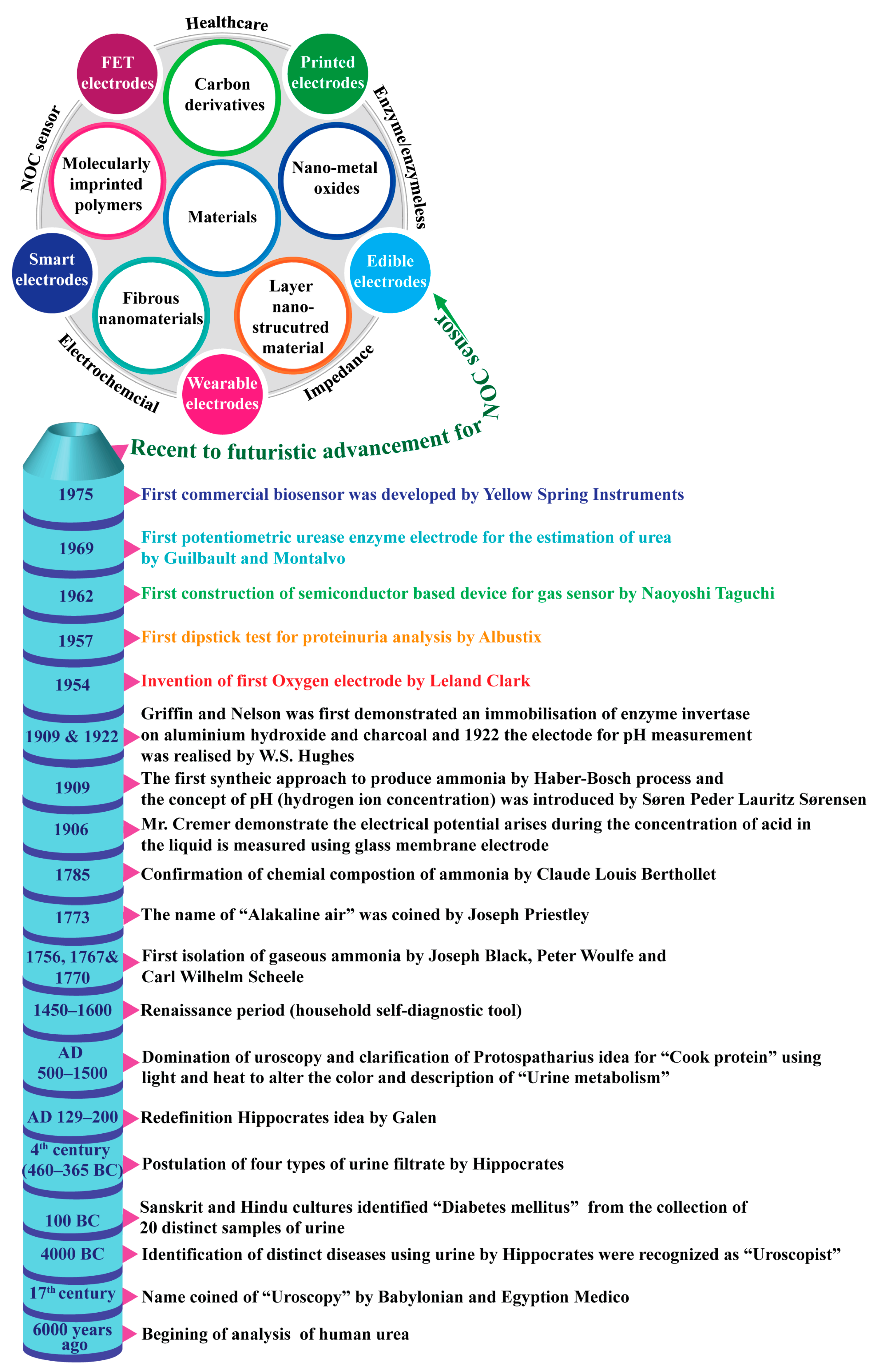 Biosensors 13 00989 g001