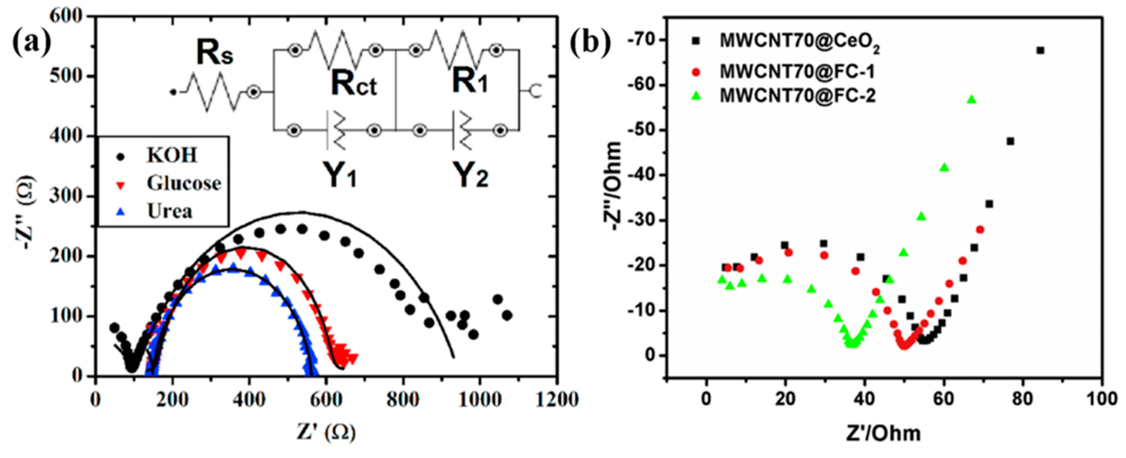 Biosensors 13 00989 g013
