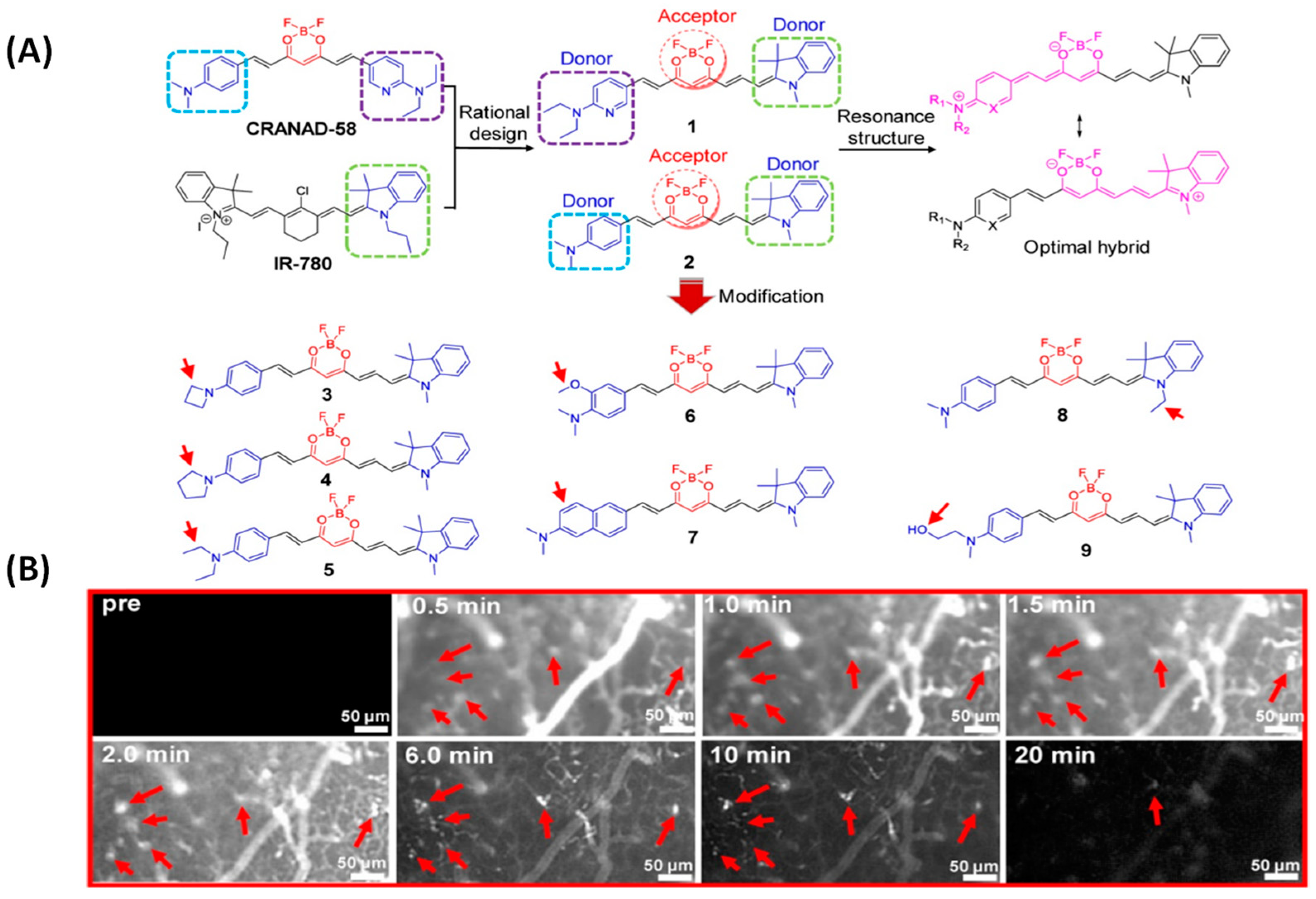 Biosensors 13 00990 g005