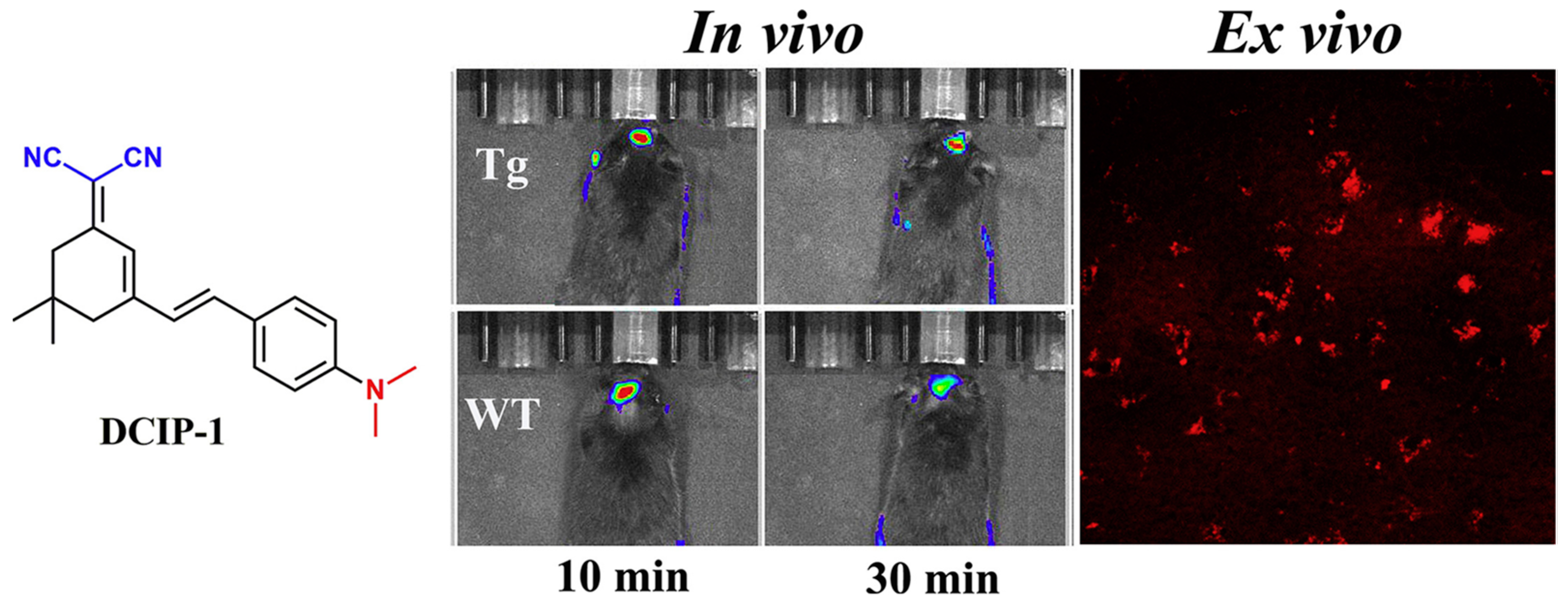 Biosensors 13 00990 g013