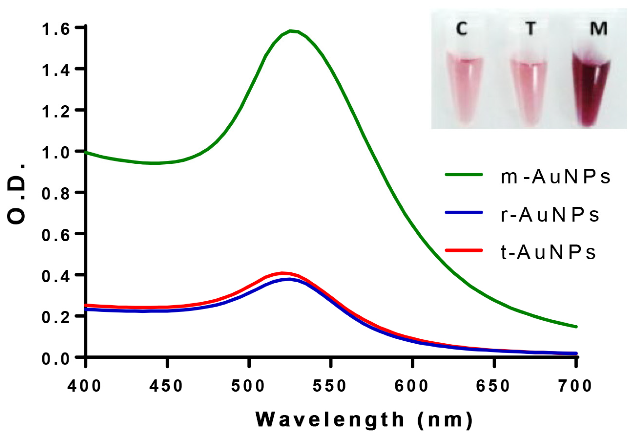 Biosensors 13 00992 g001
