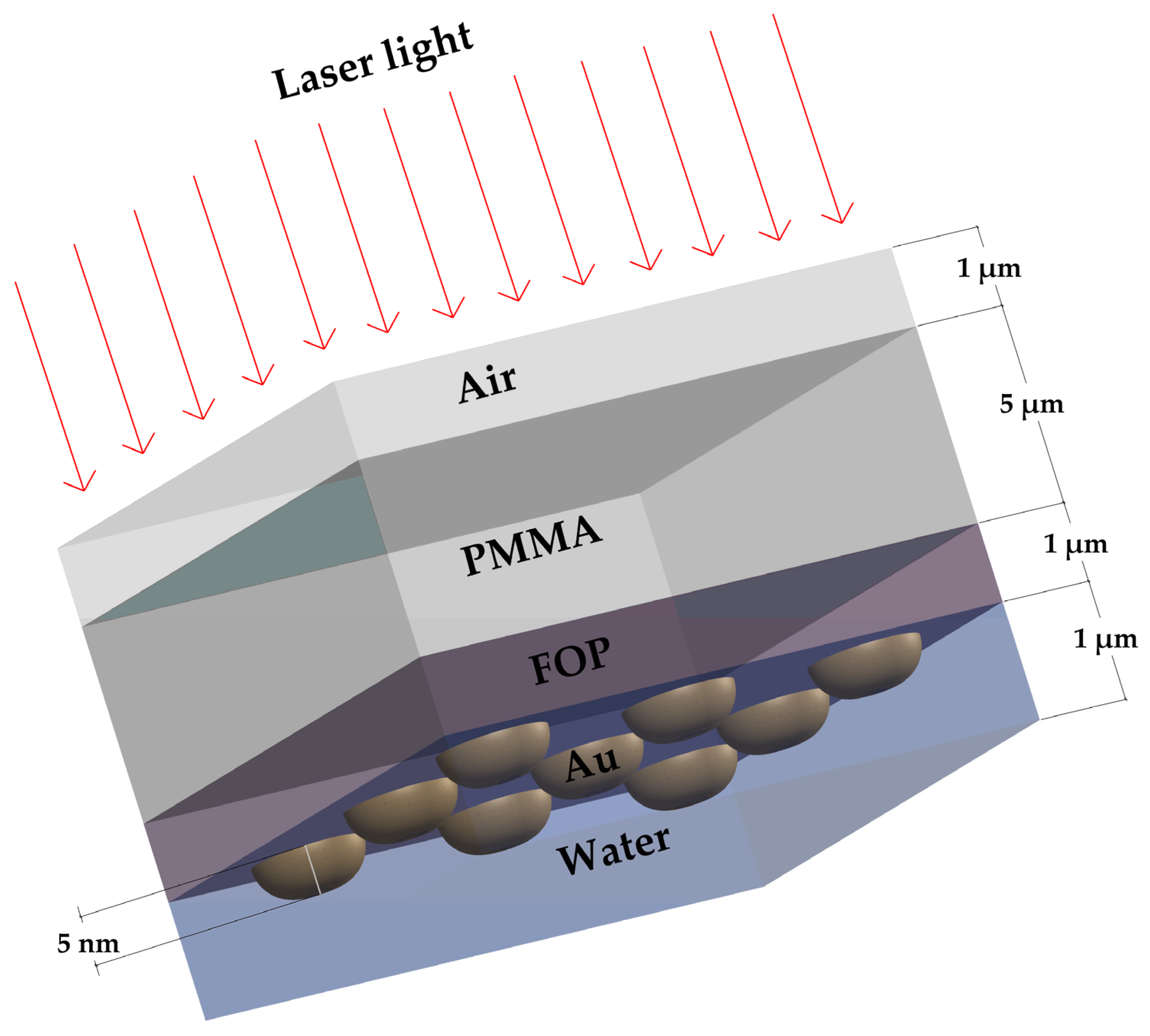 Biosensors 13 00994 g002