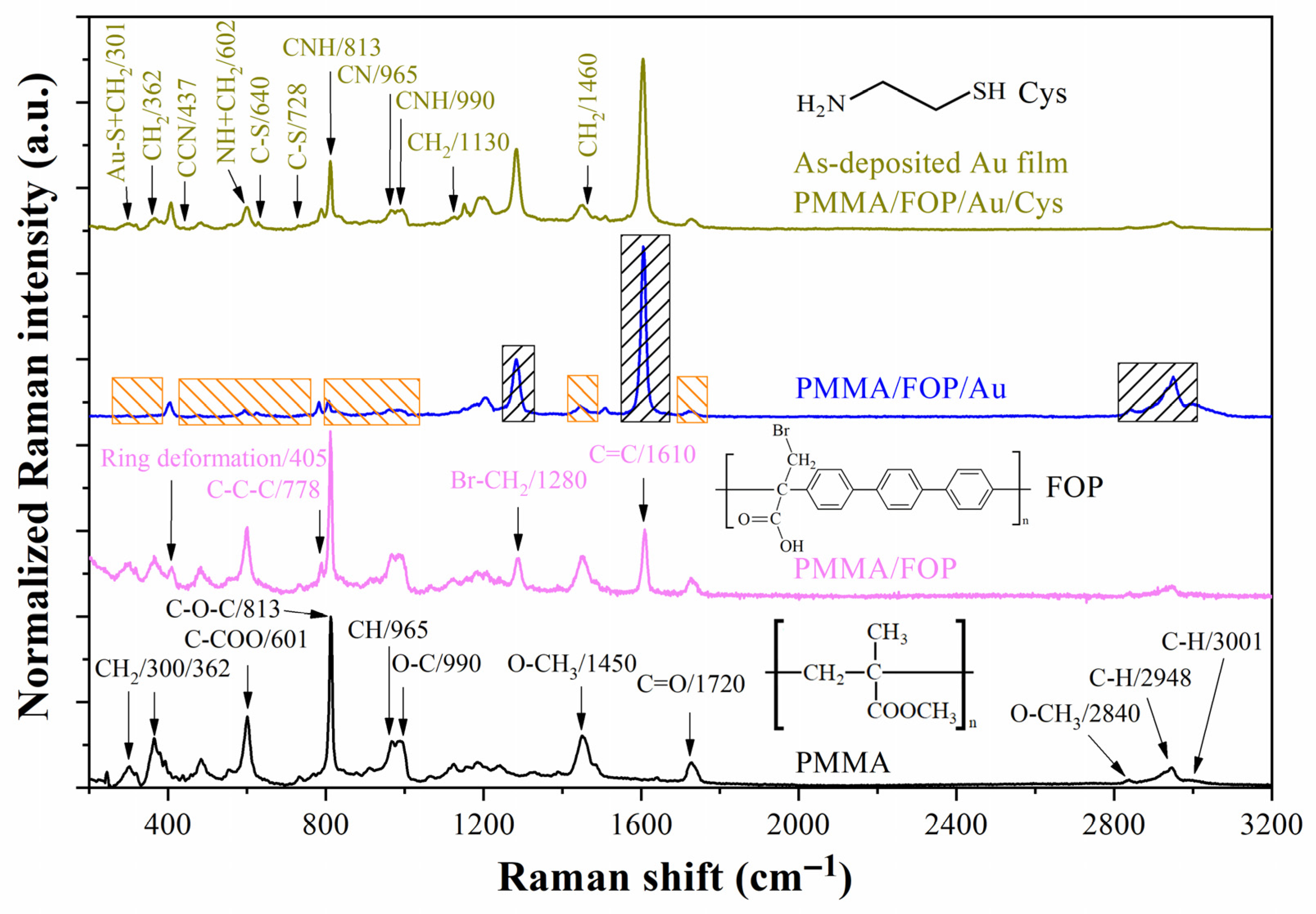 Biosensors 13 00994 g006
