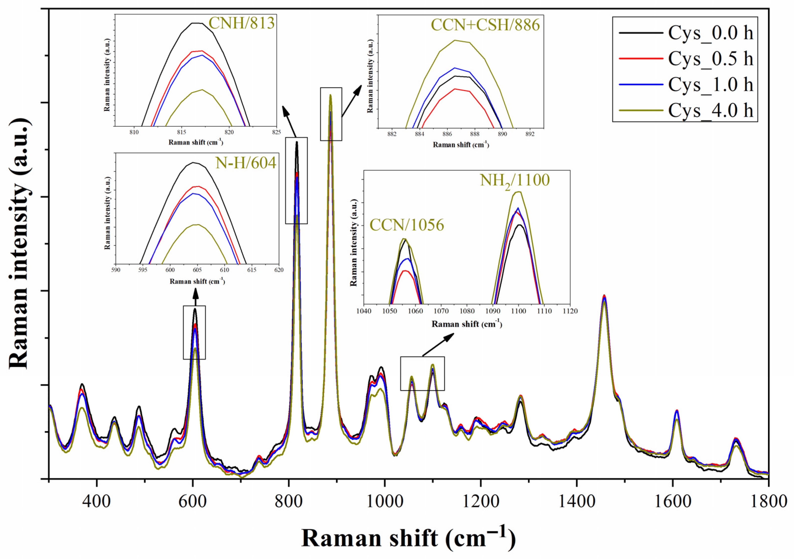 Biosensors 13 00994 g010