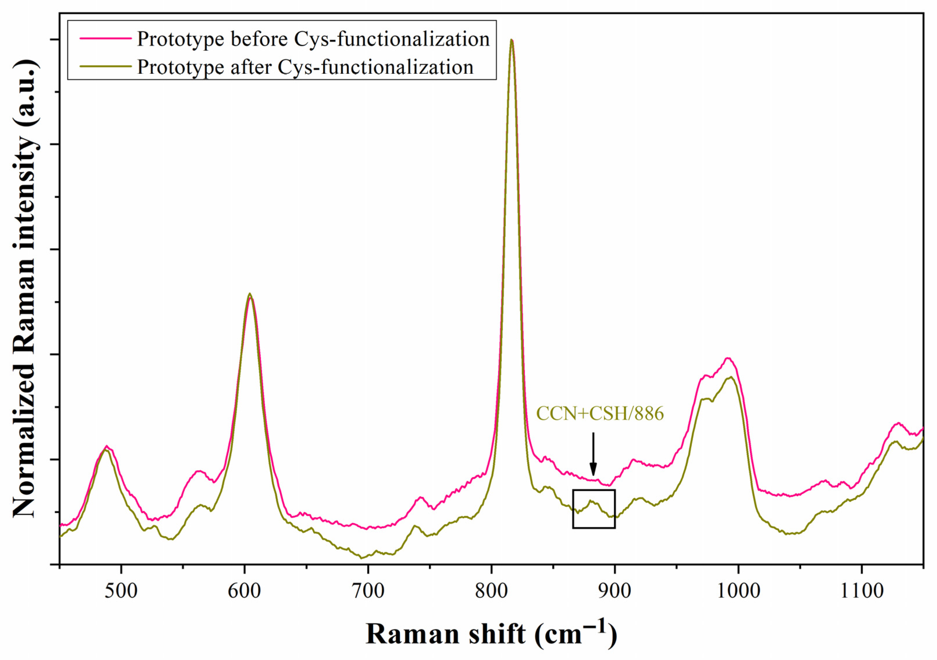 Biosensors 13 00994 g011