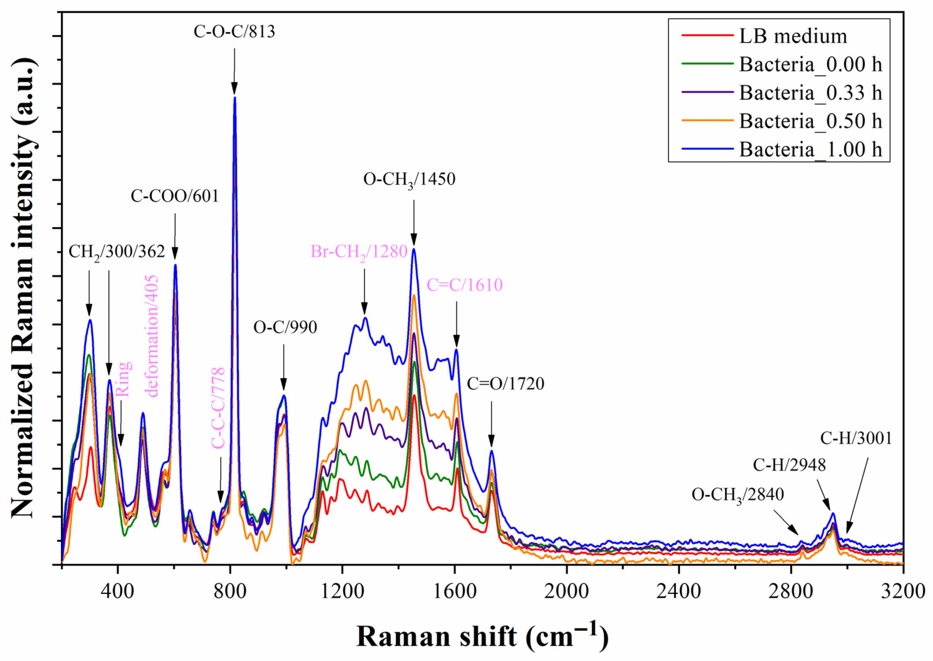 Biosensors 13 00994 g012