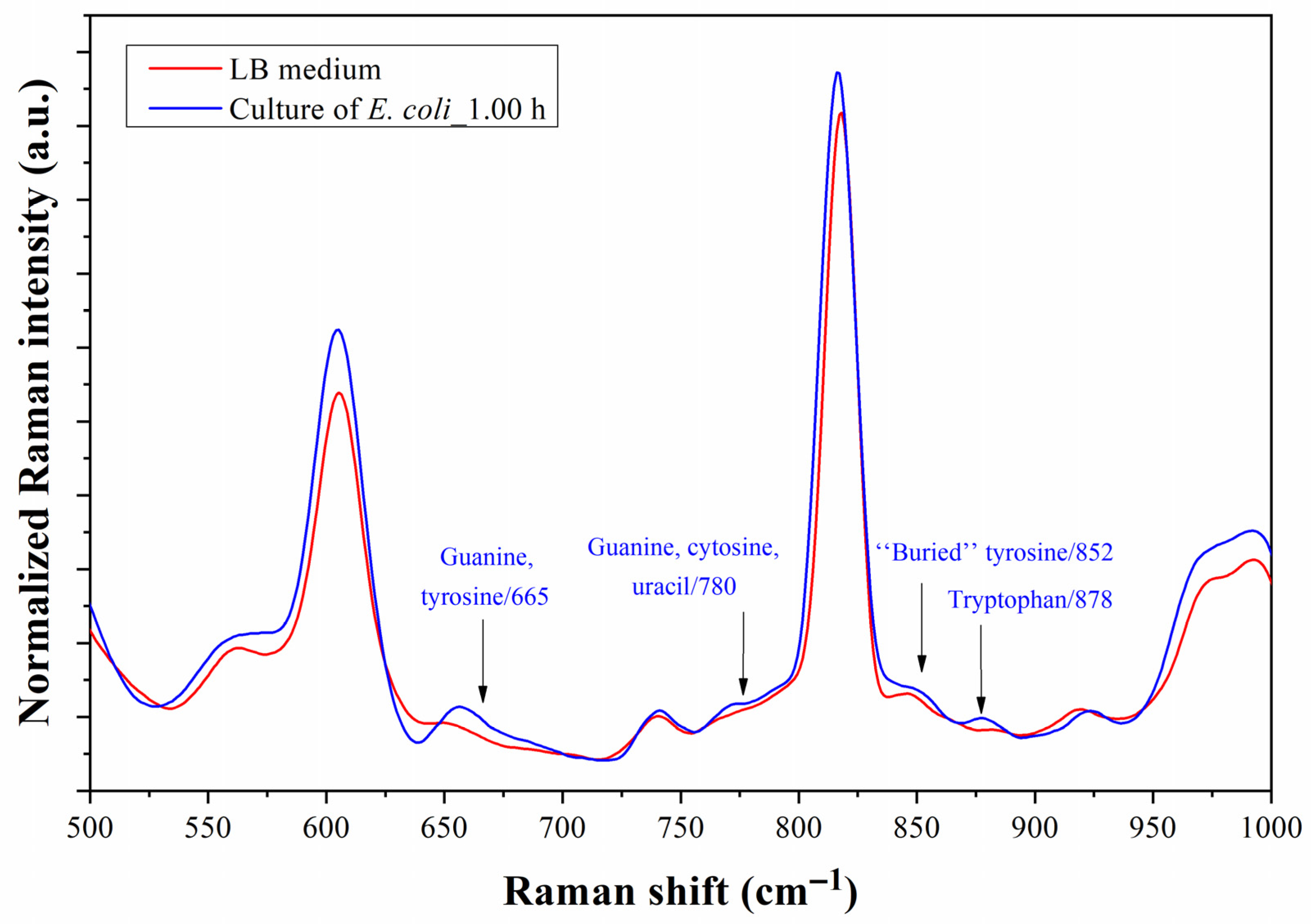 Biosensors 13 00994 g013