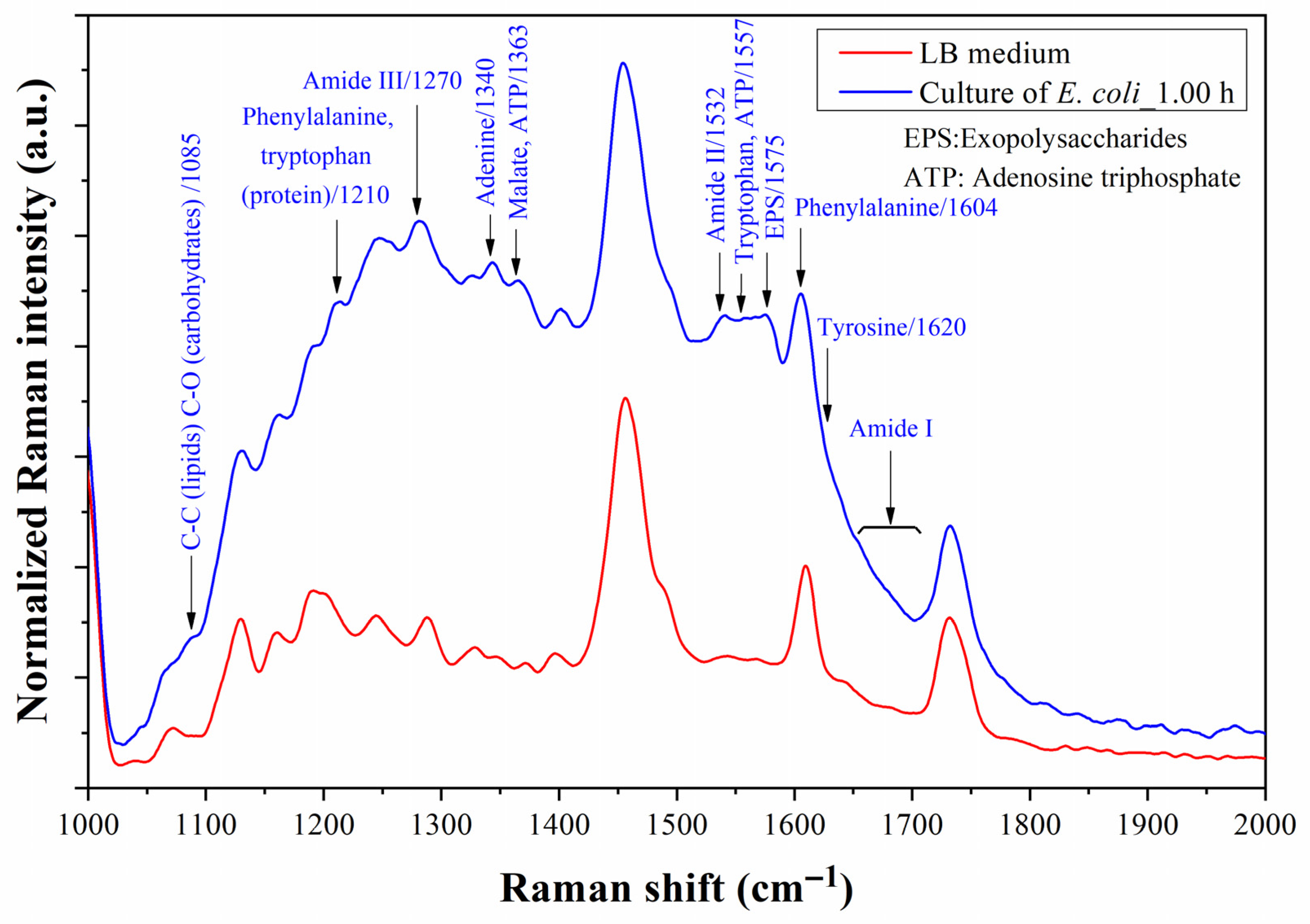 Biosensors 13 00994 g014