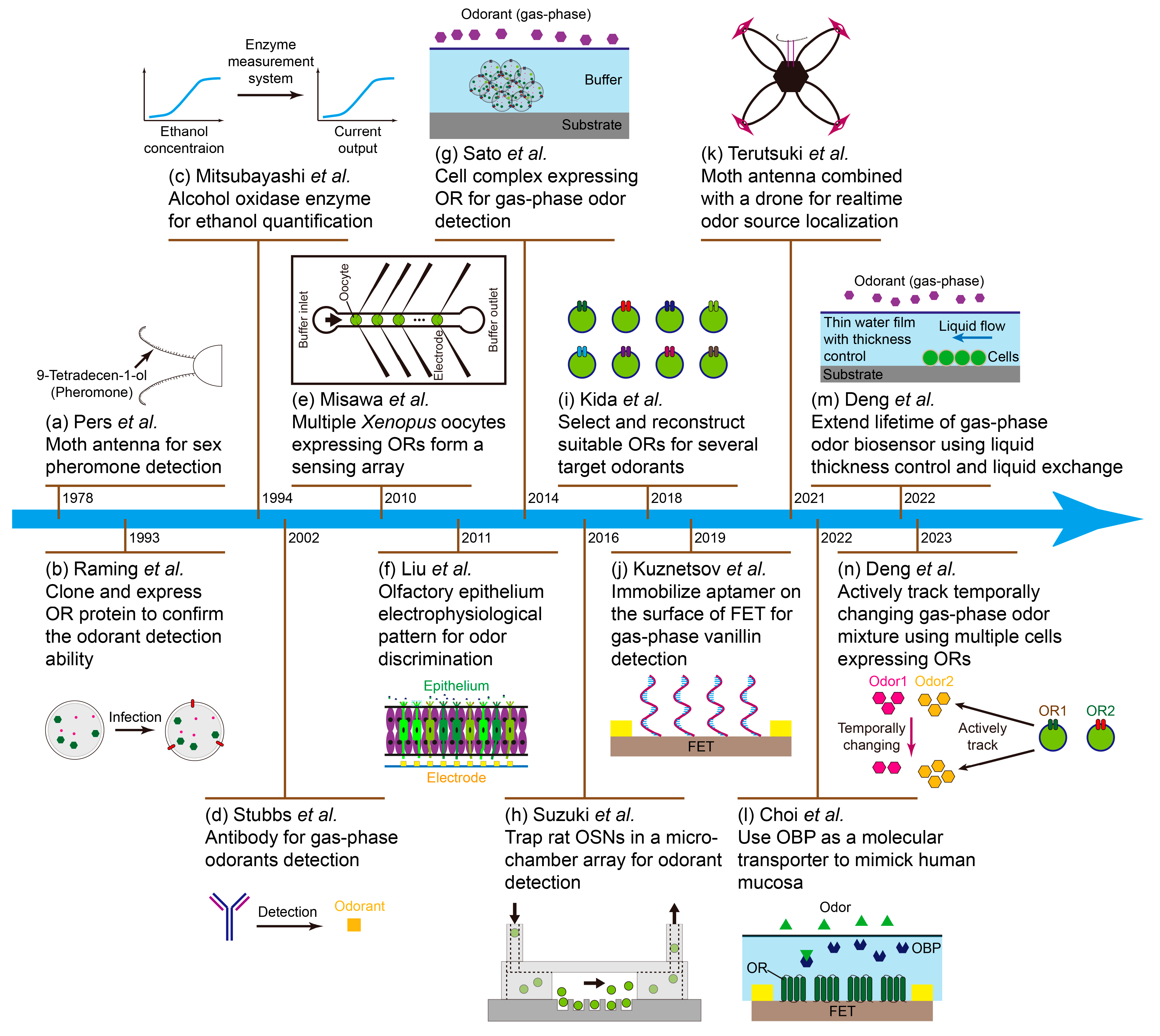Biosensors 13 01000 g001