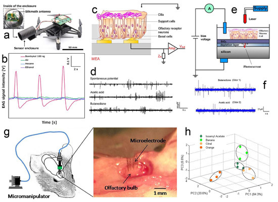Biosensors 13 01000 g004