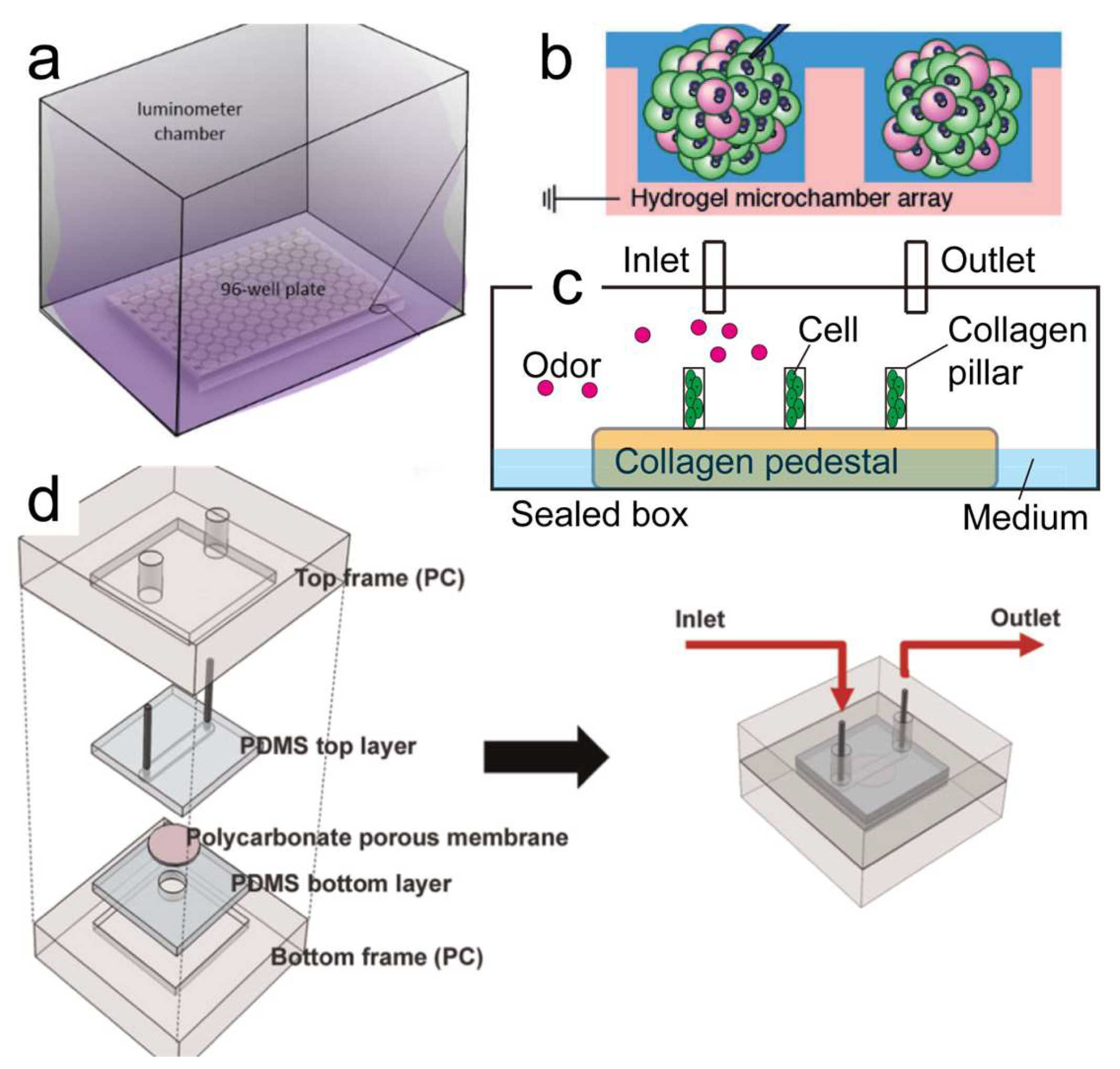 Biosensors 13 01000 g007