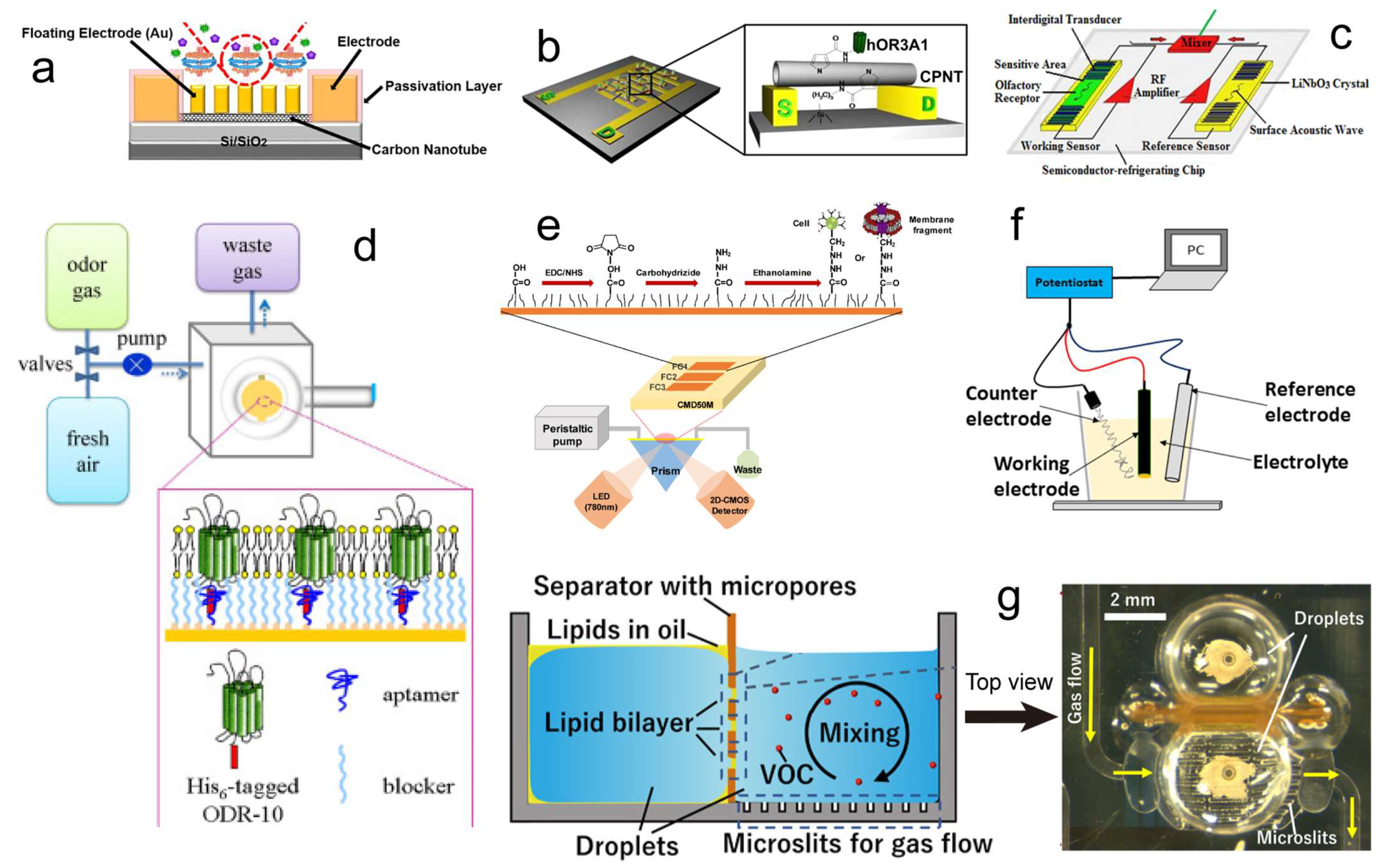 Biosensors 13 01000 g010