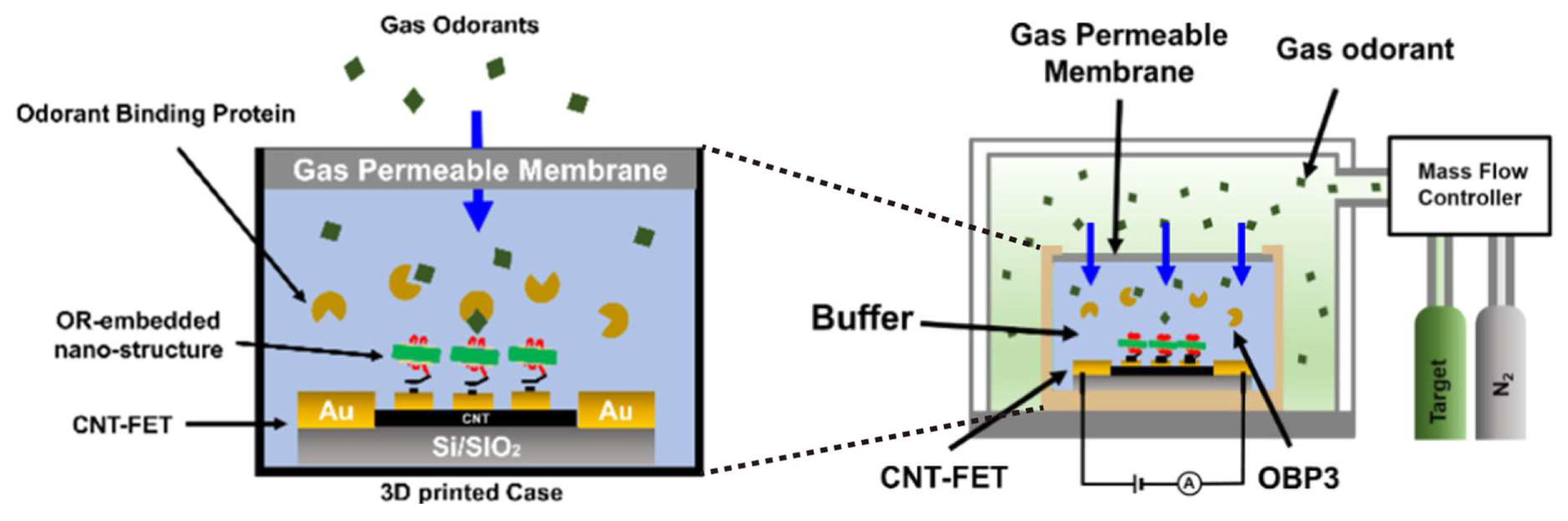 Biosensors 13 01000 g011