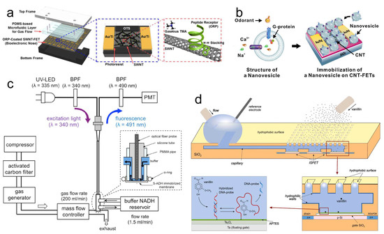 Biosensors 13 01000 g012