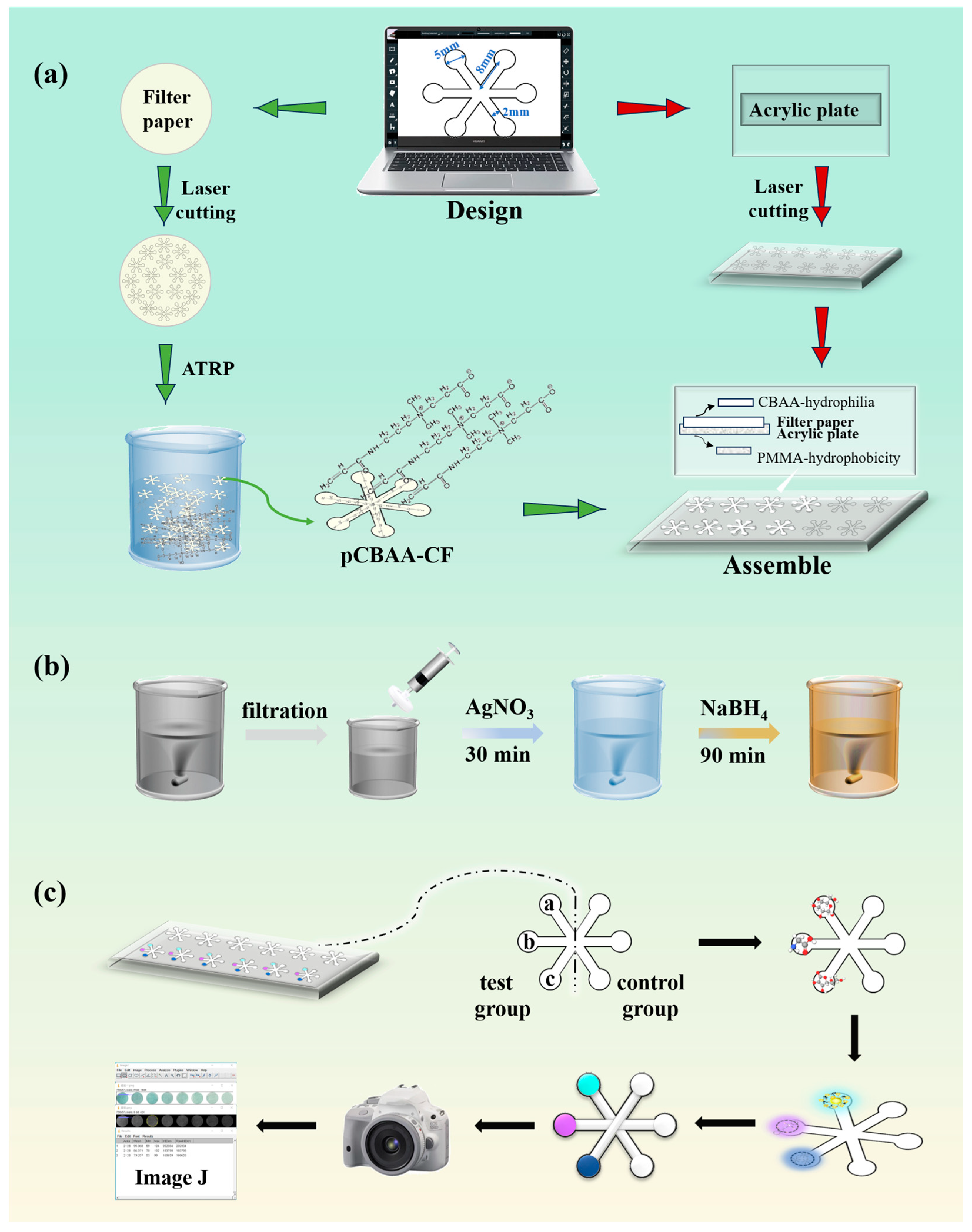 Biosensors 13 01001 g001