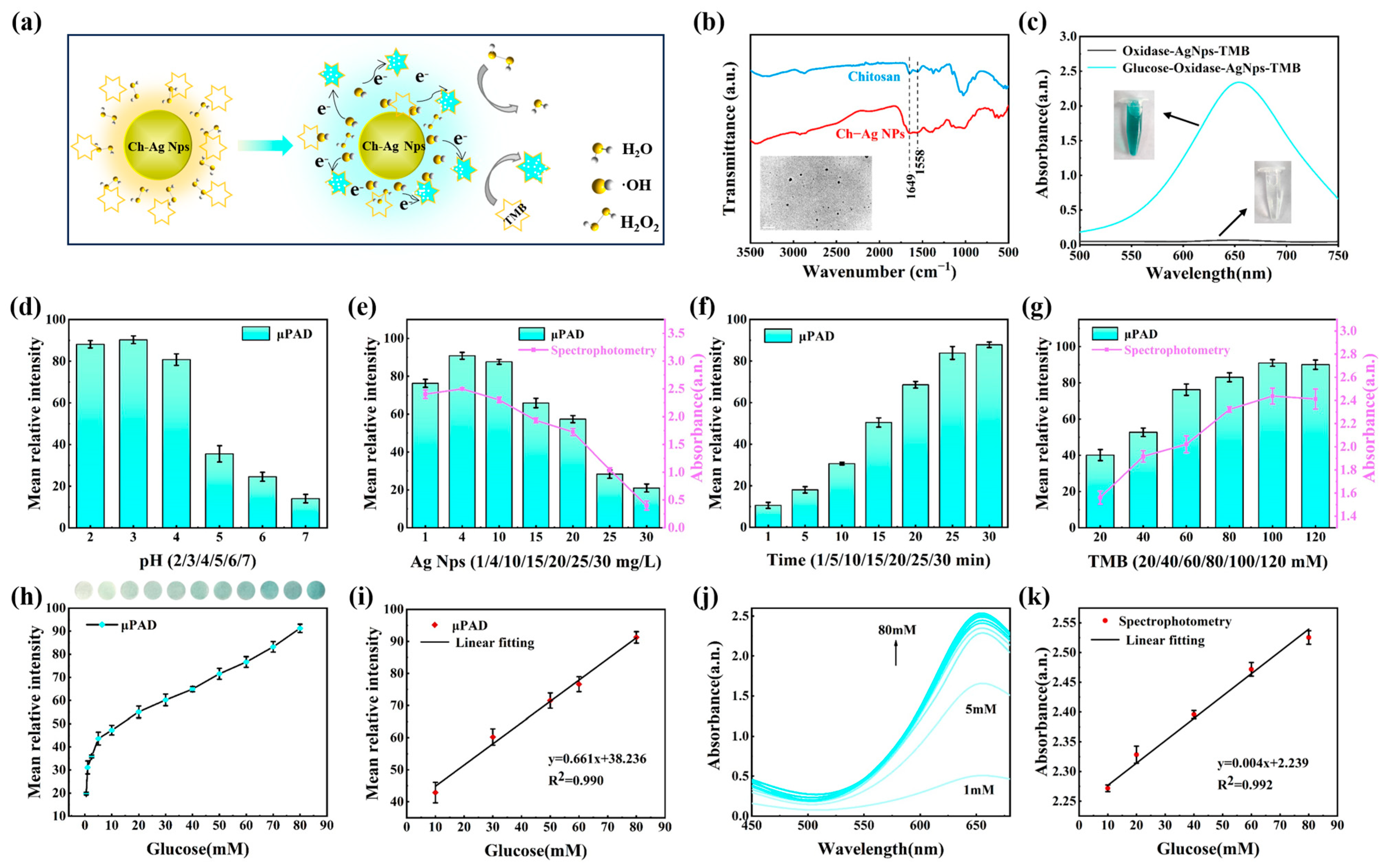 Biosensors 13 01001 g004