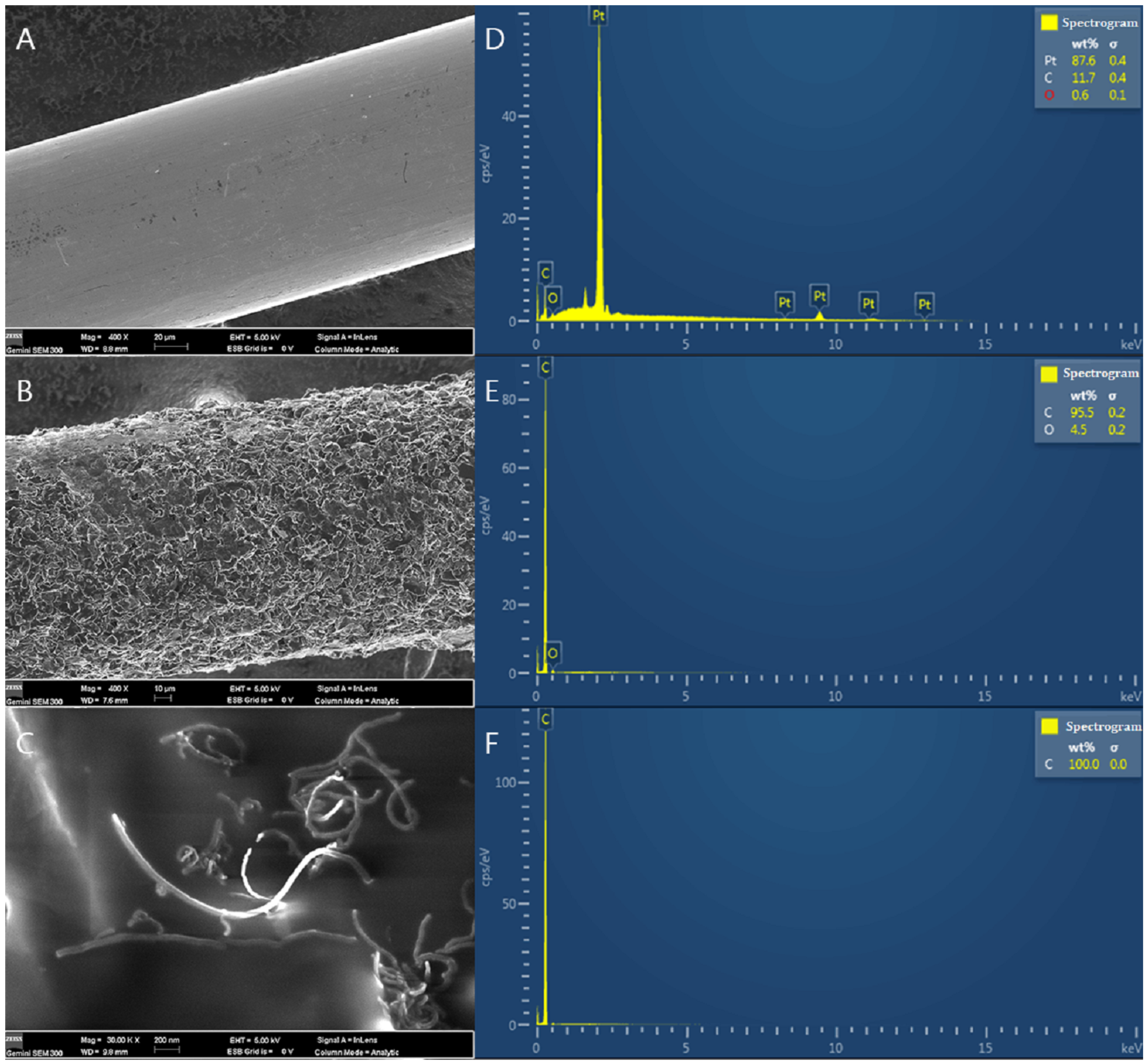 Biosensors 13 01002 g001
