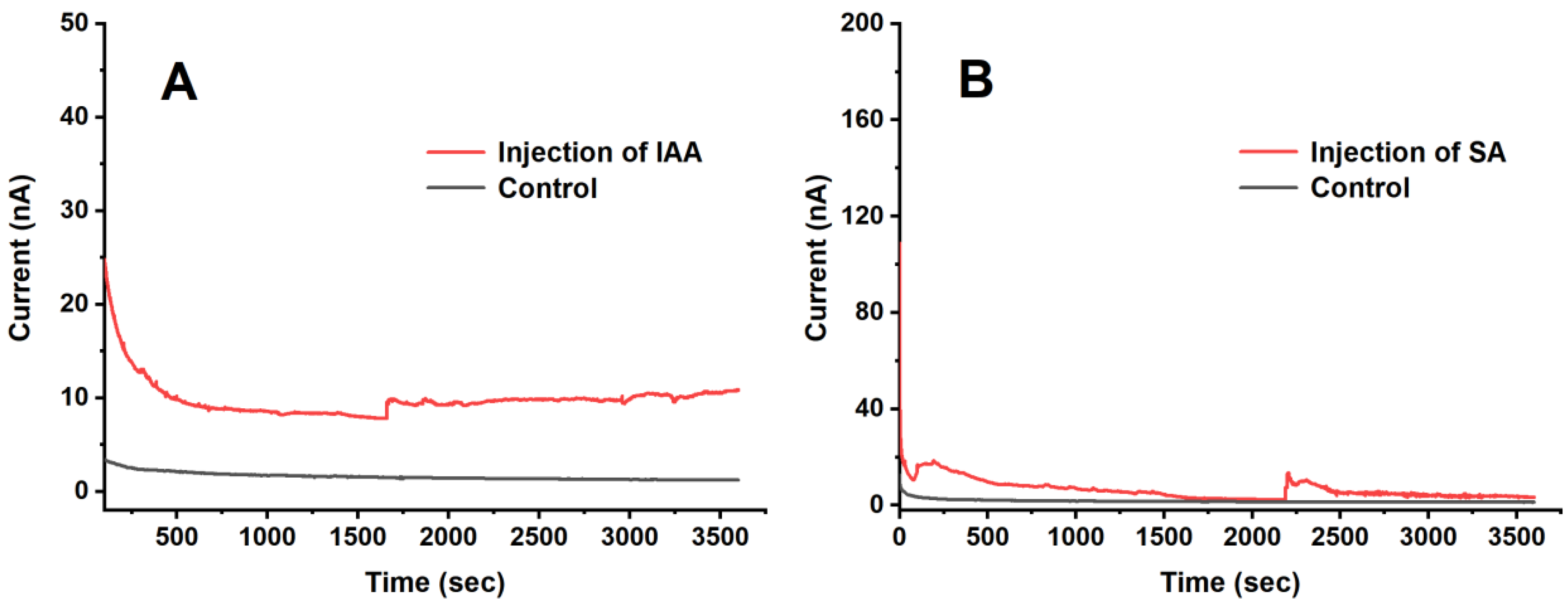 Biosensors 13 01002 g006