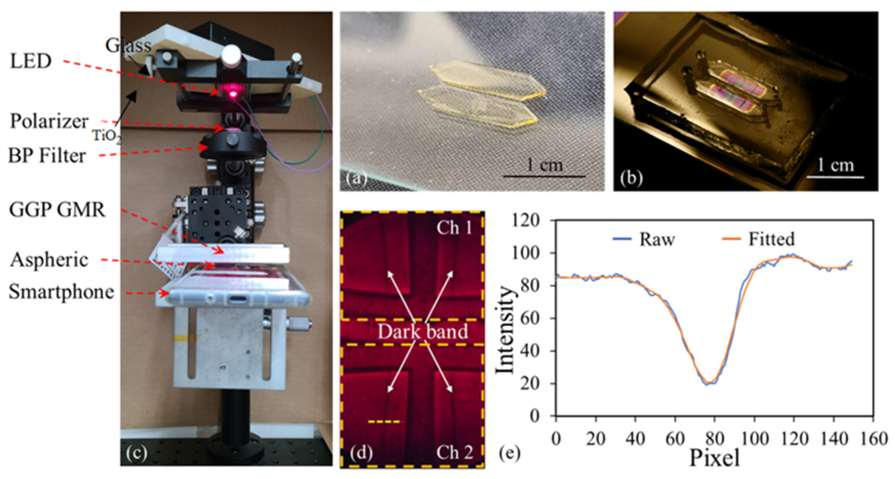 Biosensors 13 01006 g004
