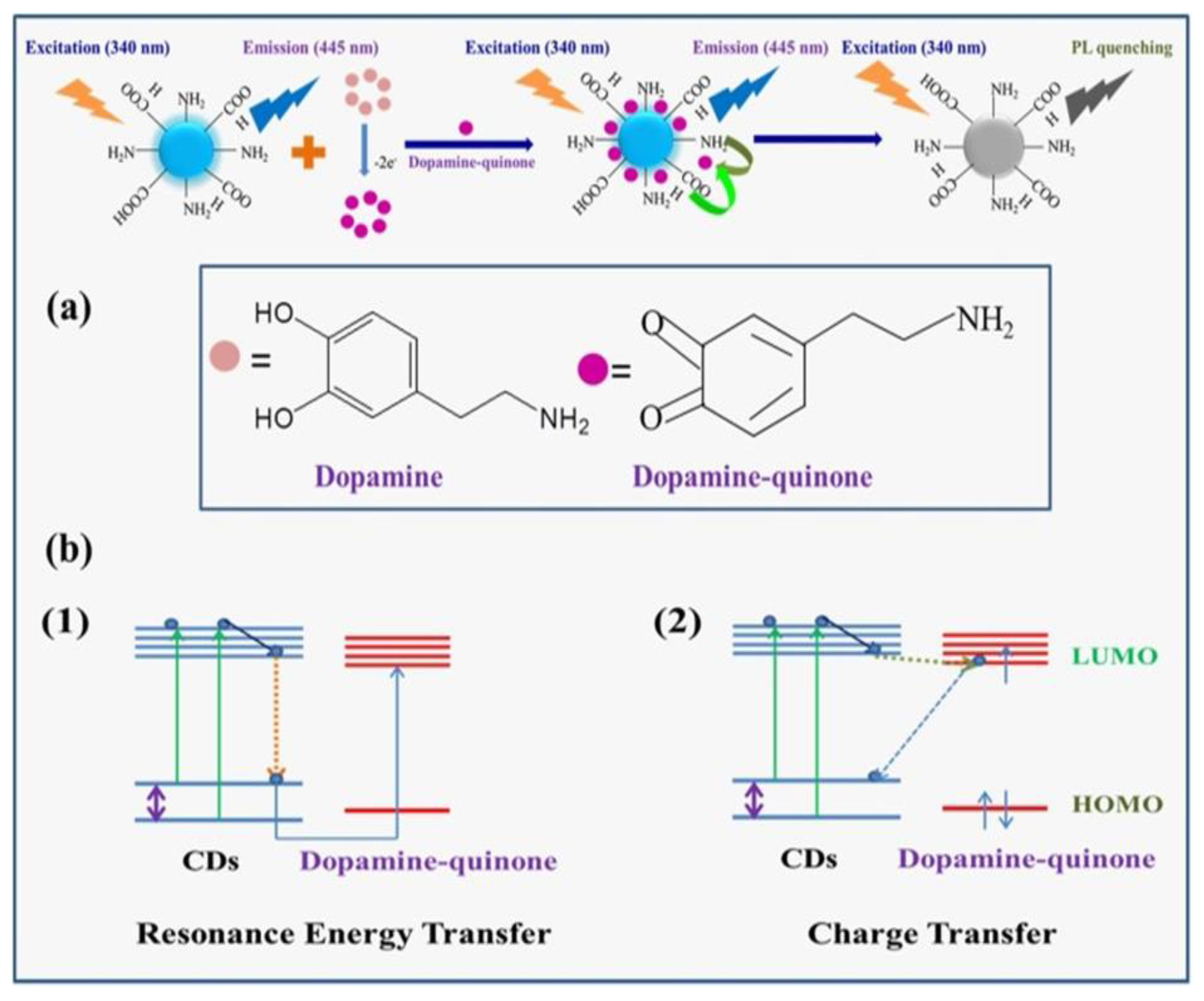 Biosensors 13 01008 g001 Biosensors 13 01008 g001