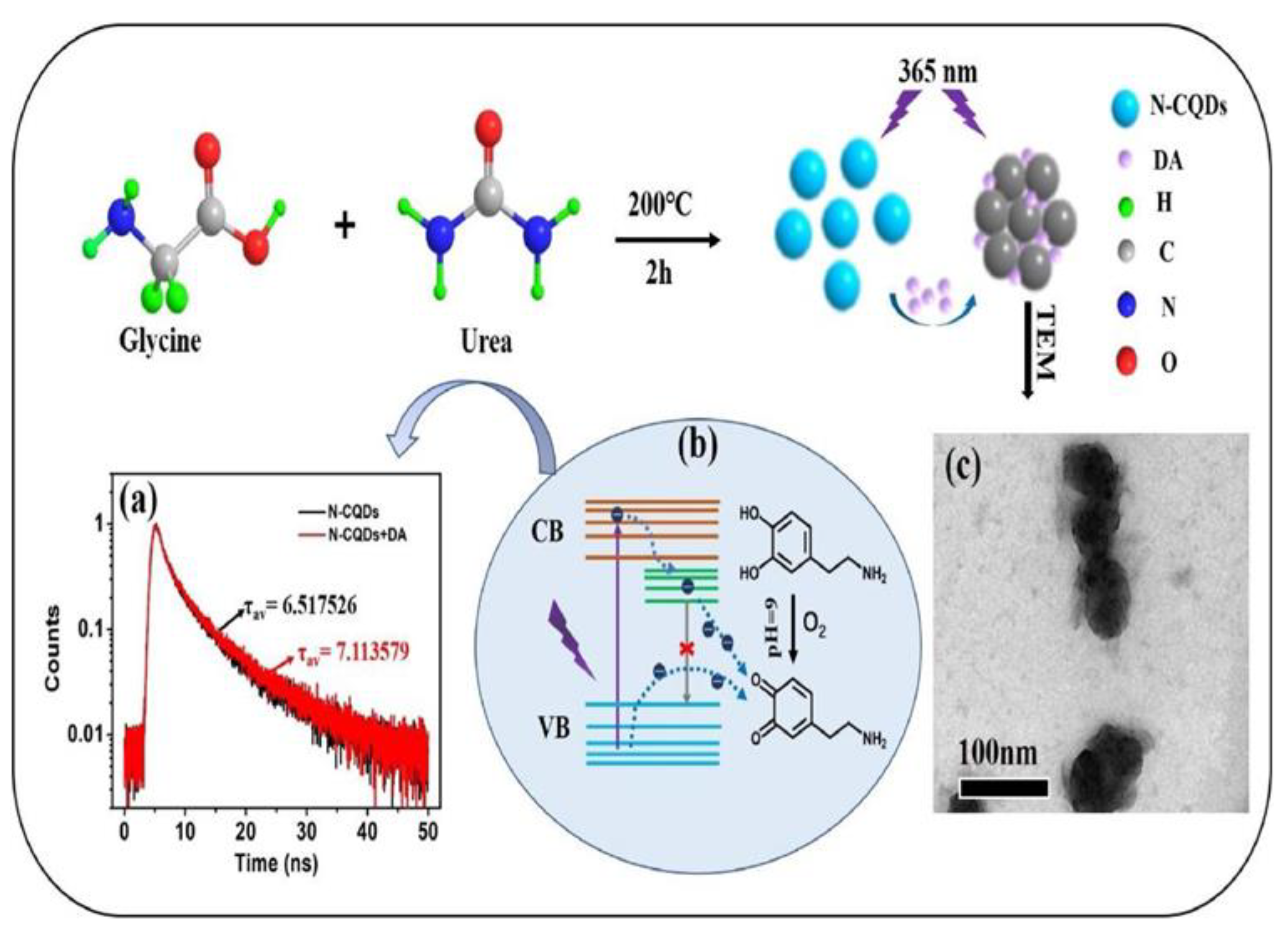 Biosensors 13 01008 g002 Biosensors 13 01008 g002