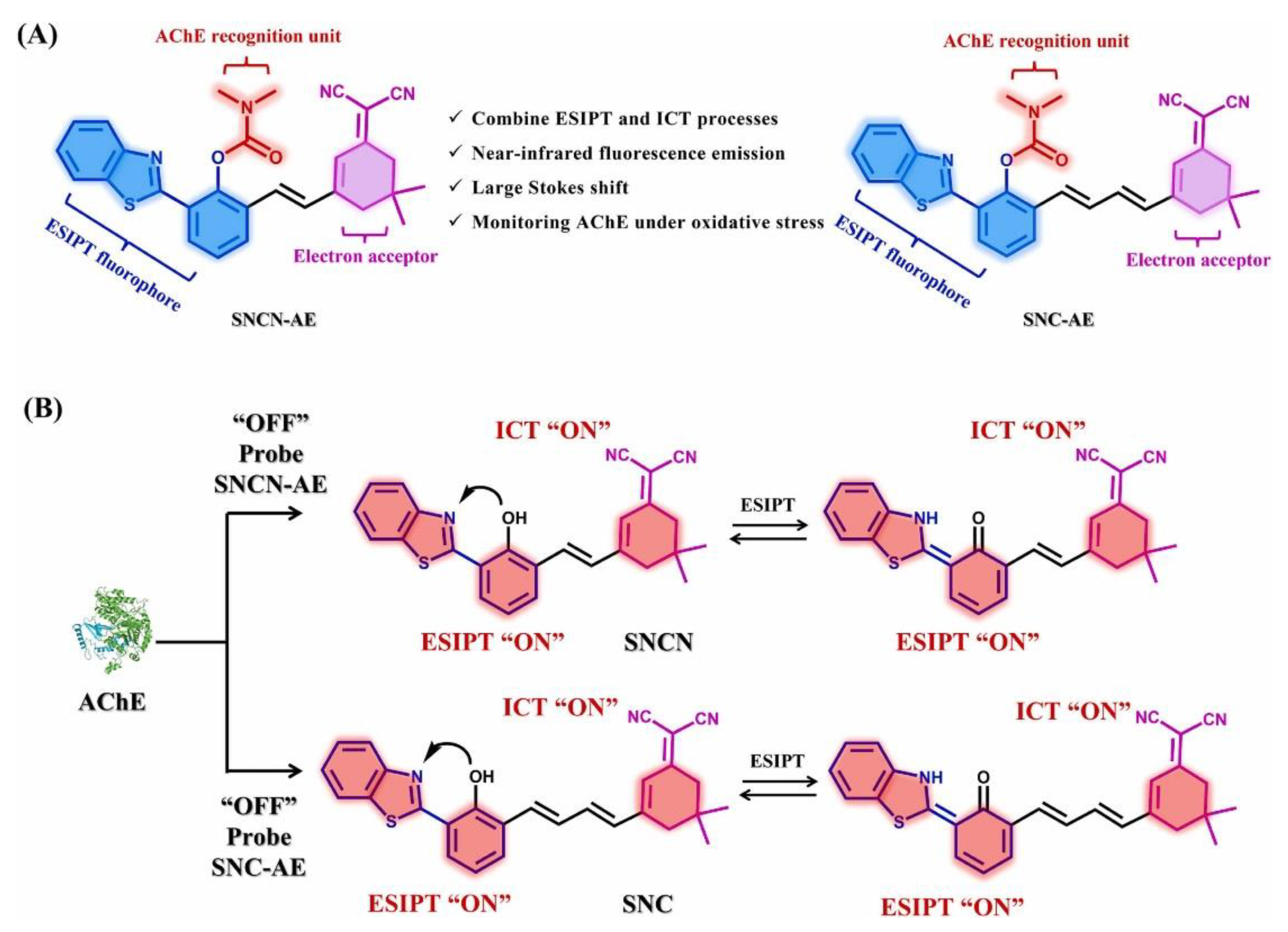 Biosensors 13 01008 g003 Biosensors 13 01008 g003