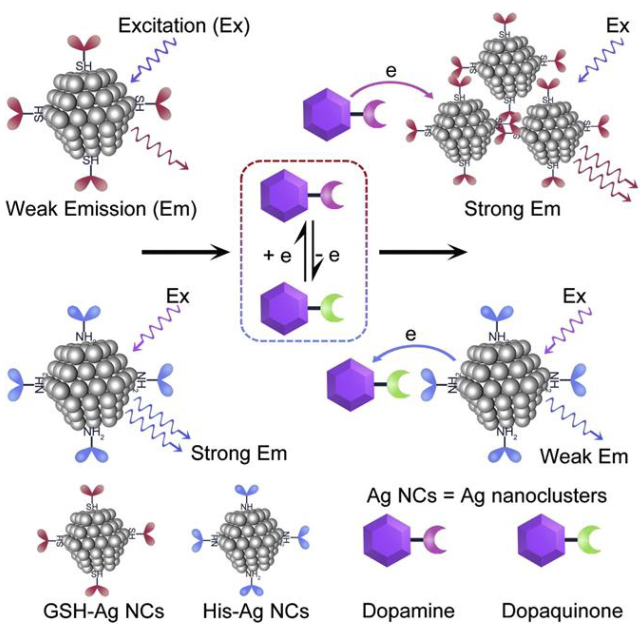 Biosensors 13 01008 g004 Biosensors 13 01008 g004