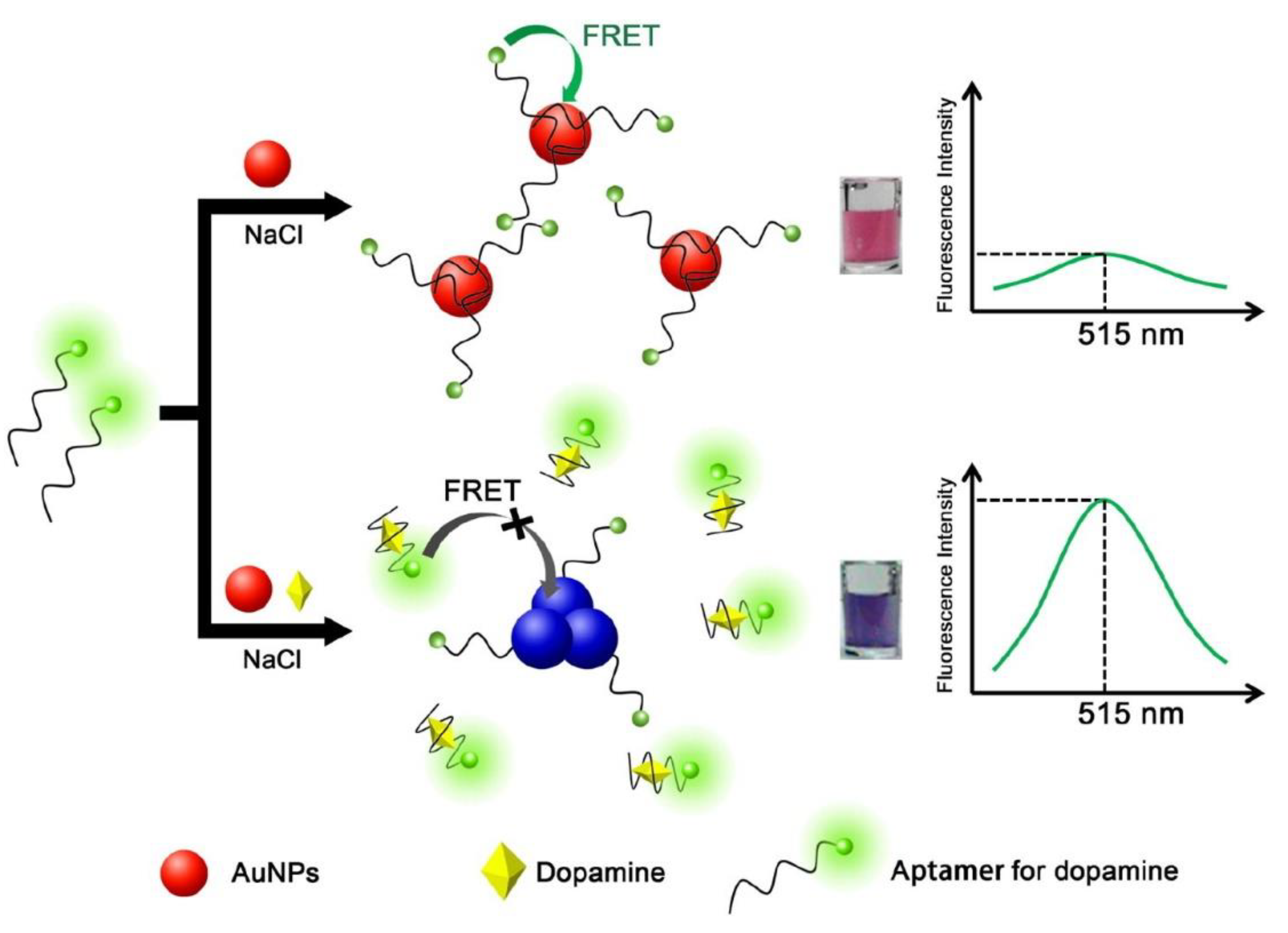 Biosensors 13 01008 g005 Biosensors 13 01008 g005