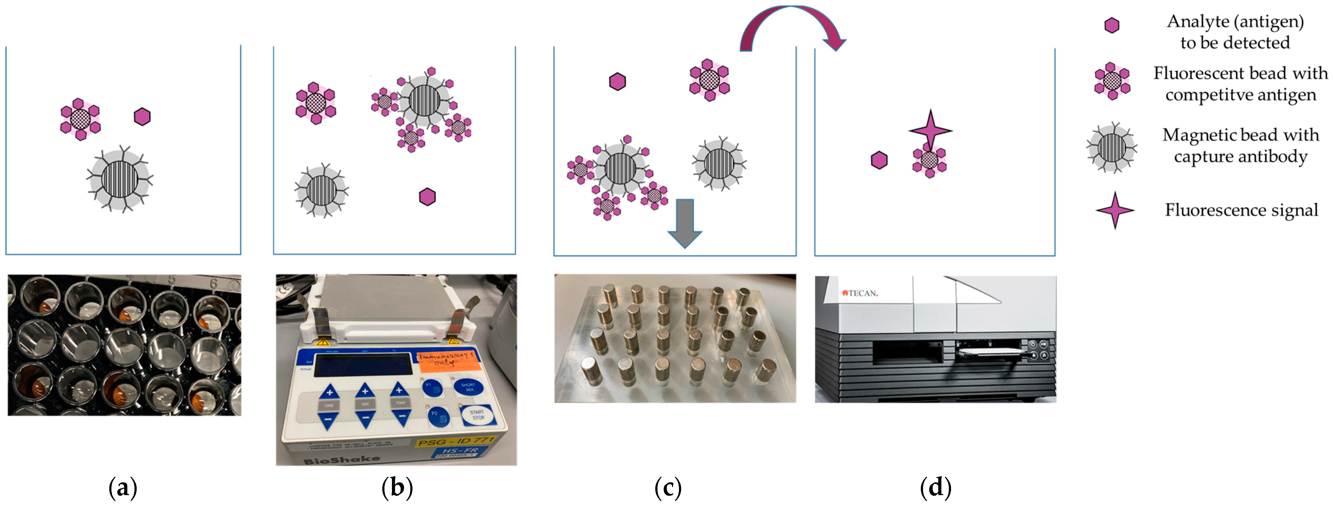 Biosensors 13 01009 g001