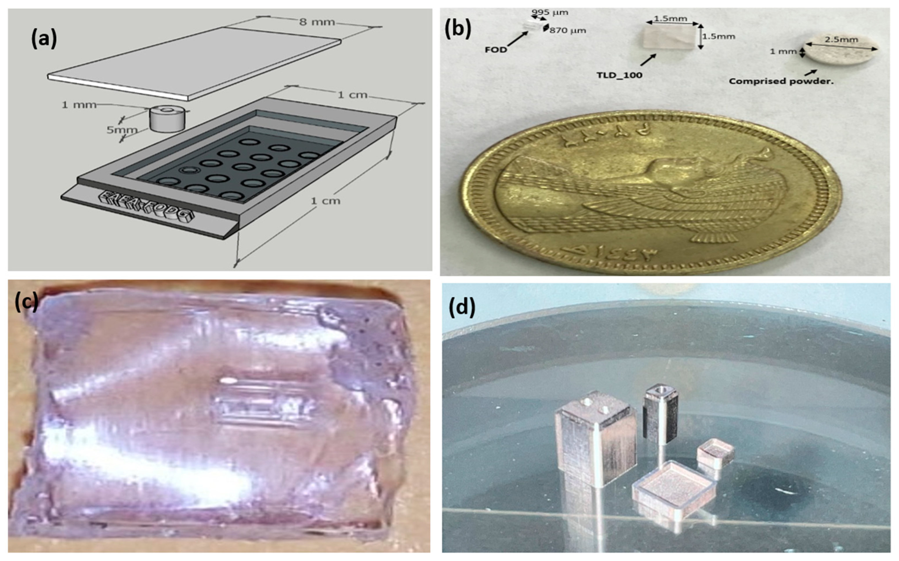 Biosensors 13 01010 g001