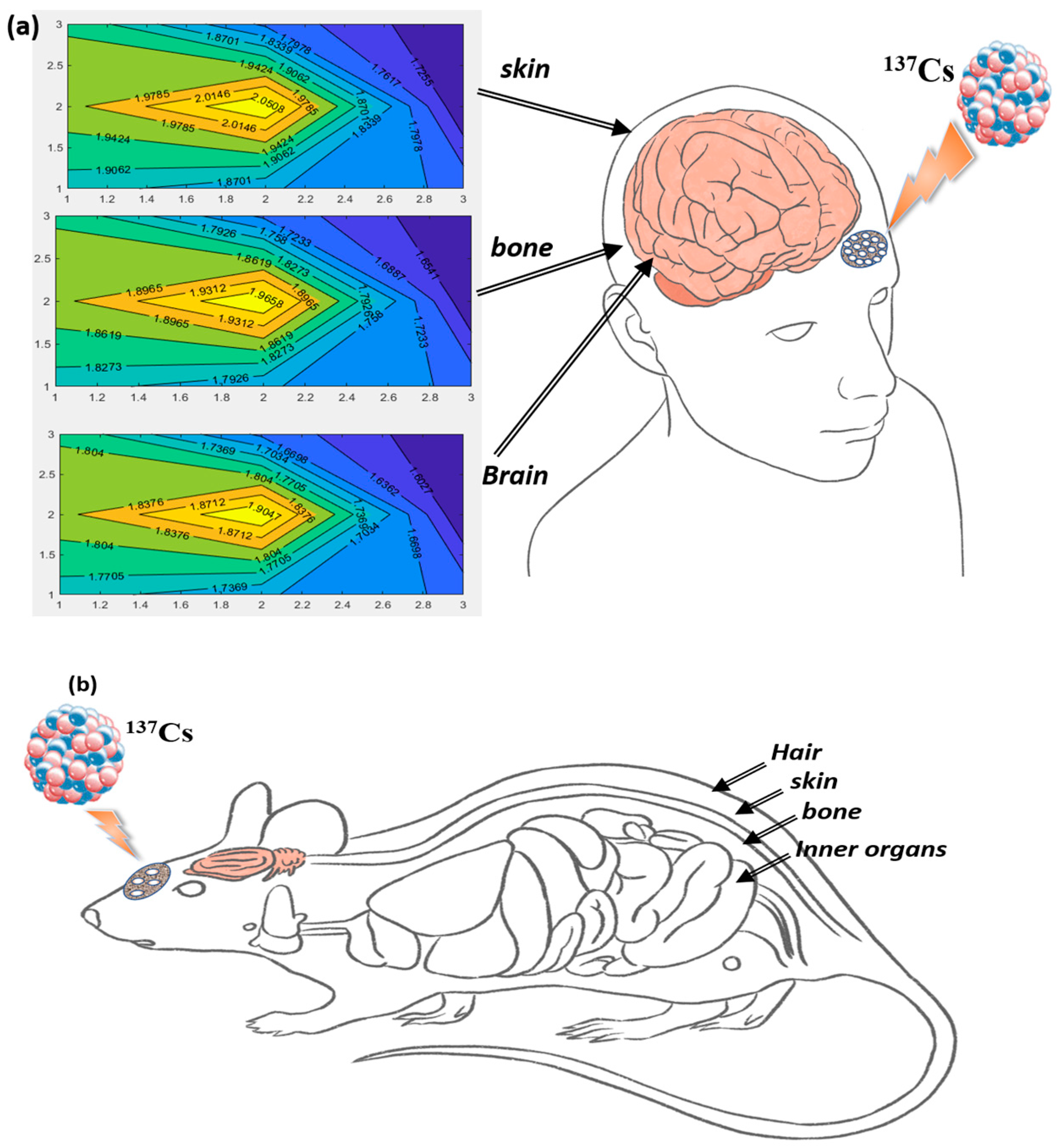 Biosensors 13 01010 g005