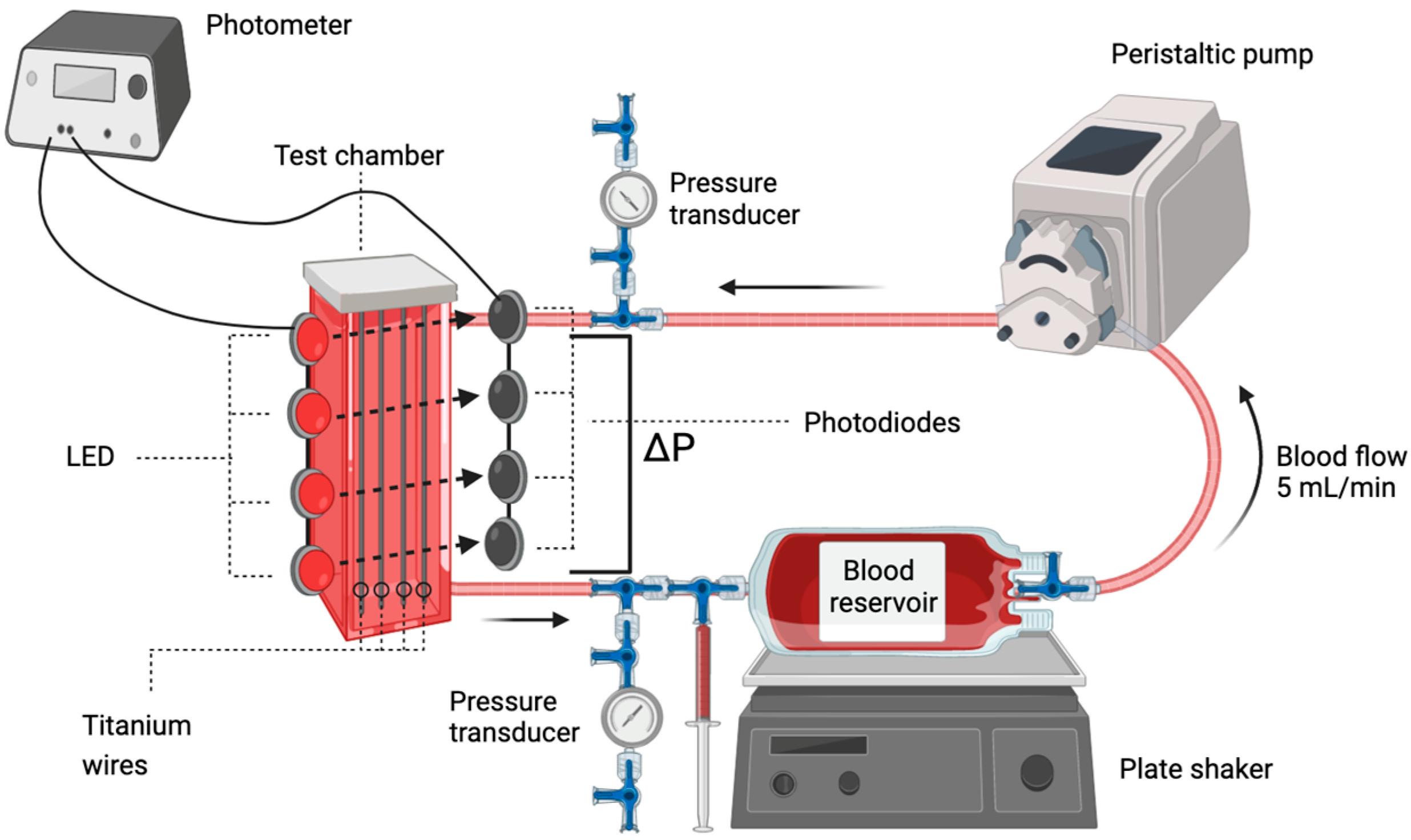 Biosensors 13 01012 g001