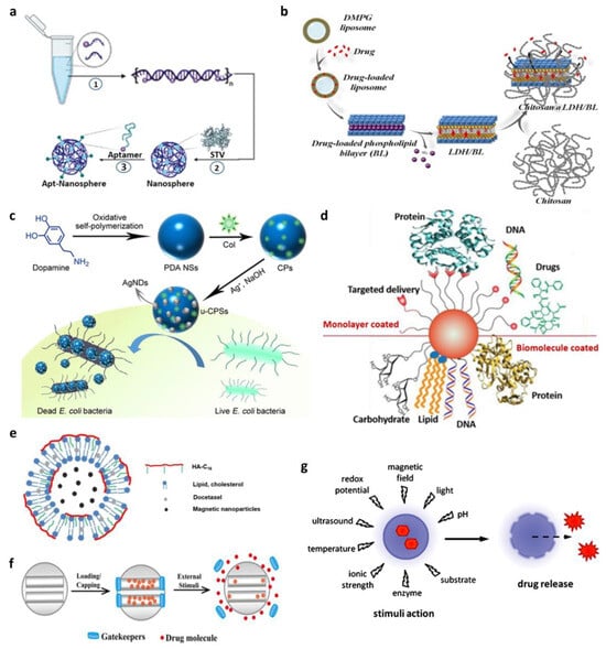 Biosensors 13 01017 g001